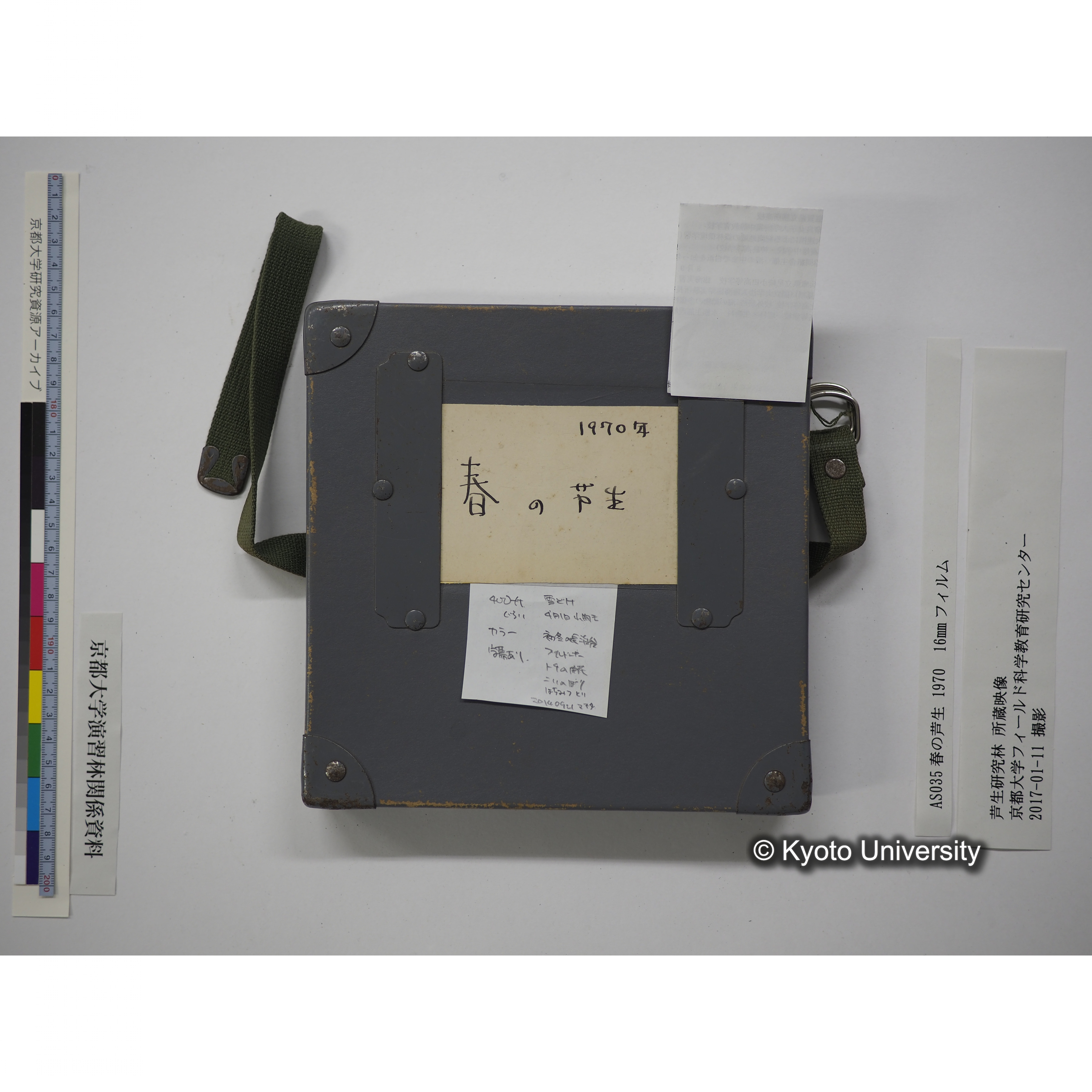 春の芦生 1970 (14)