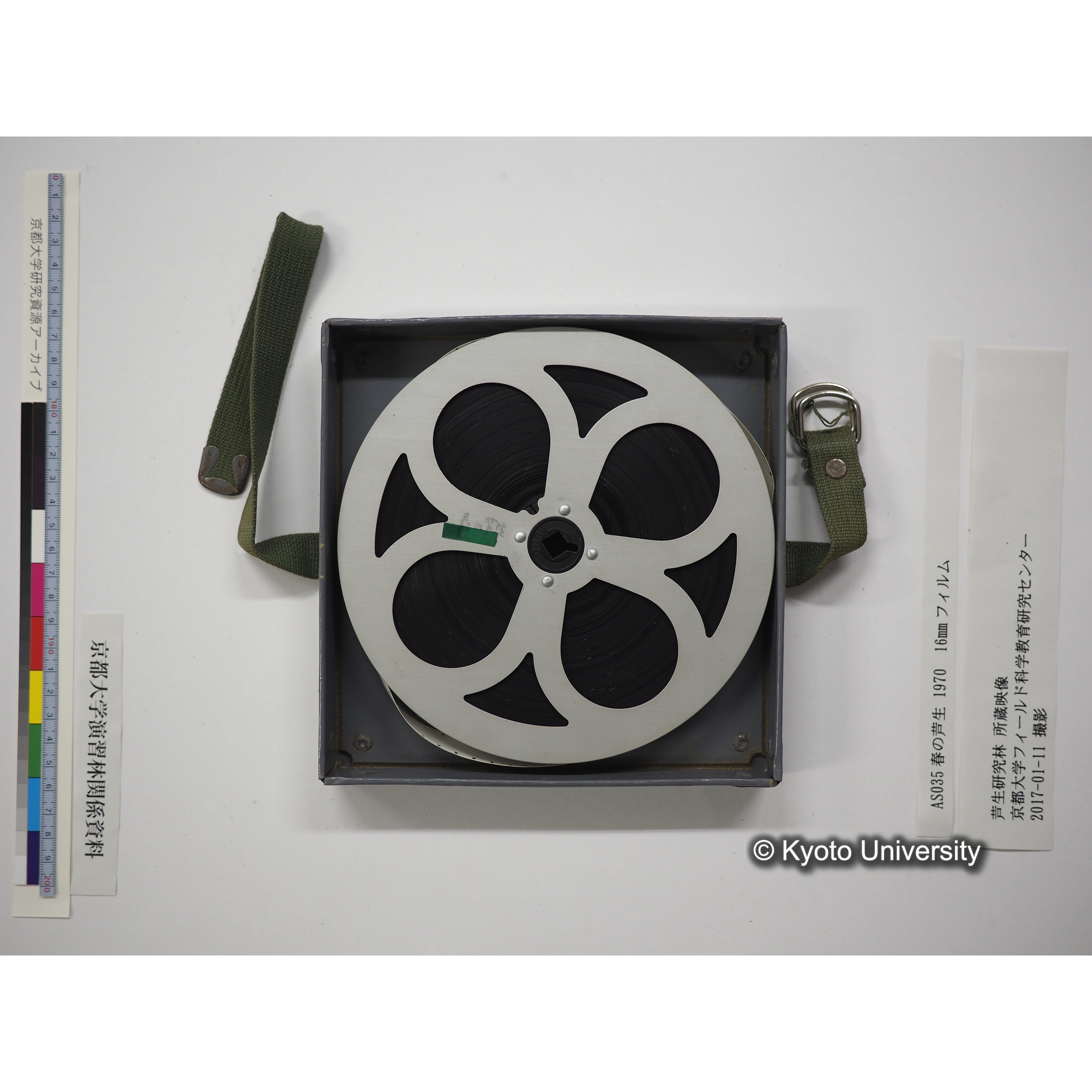 春の芦生 1970 (15)