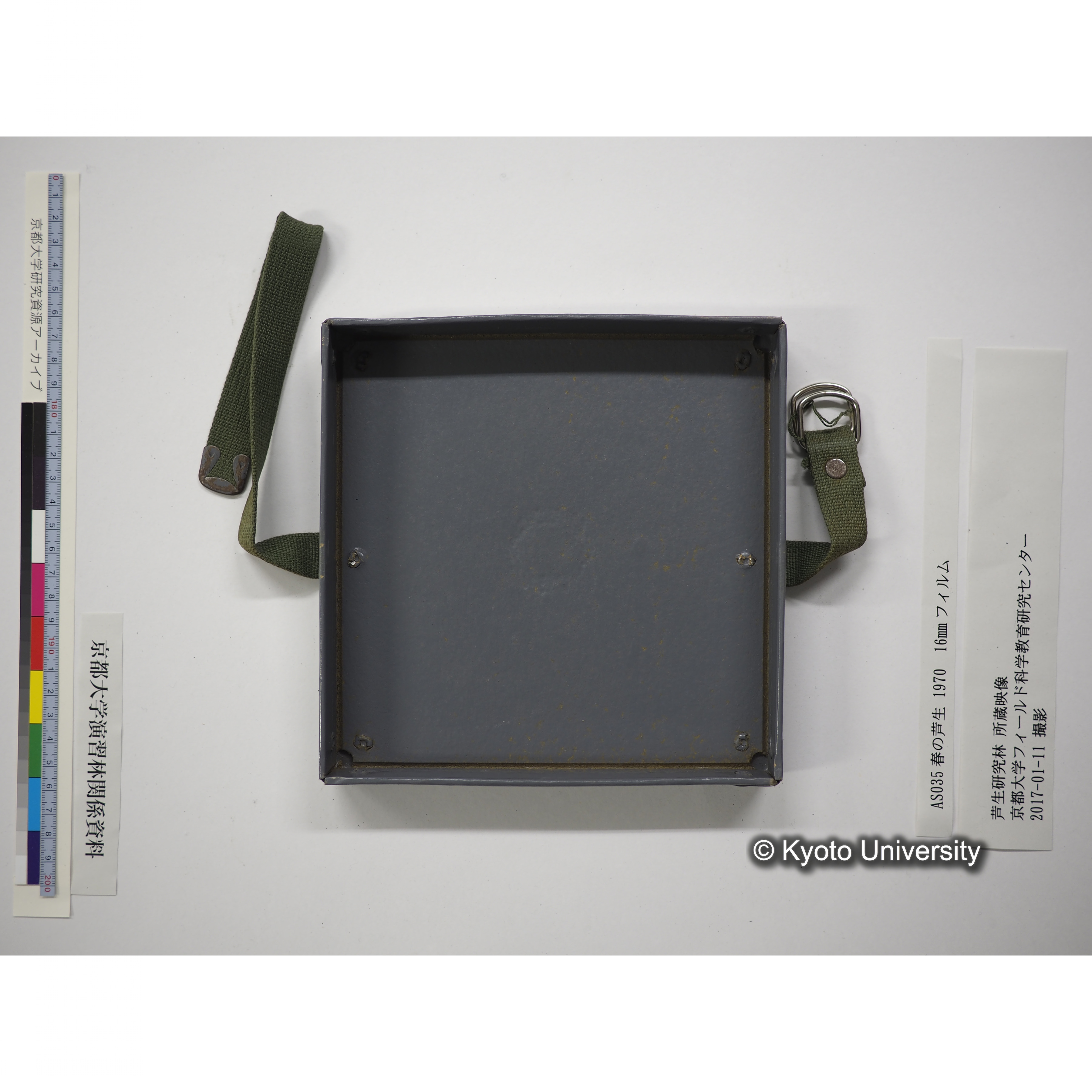 春の芦生 1970 (16)