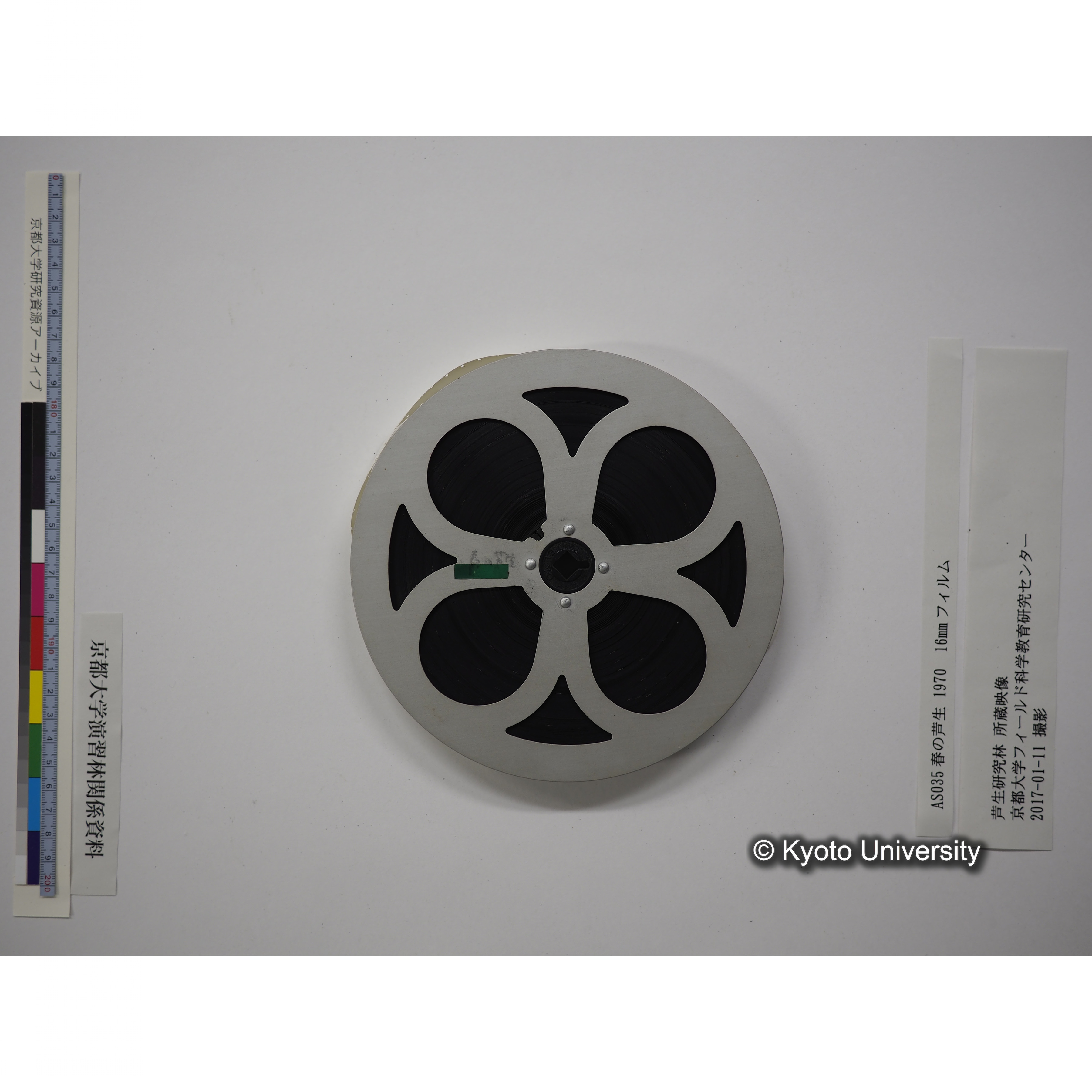 春の芦生 1970 (17)