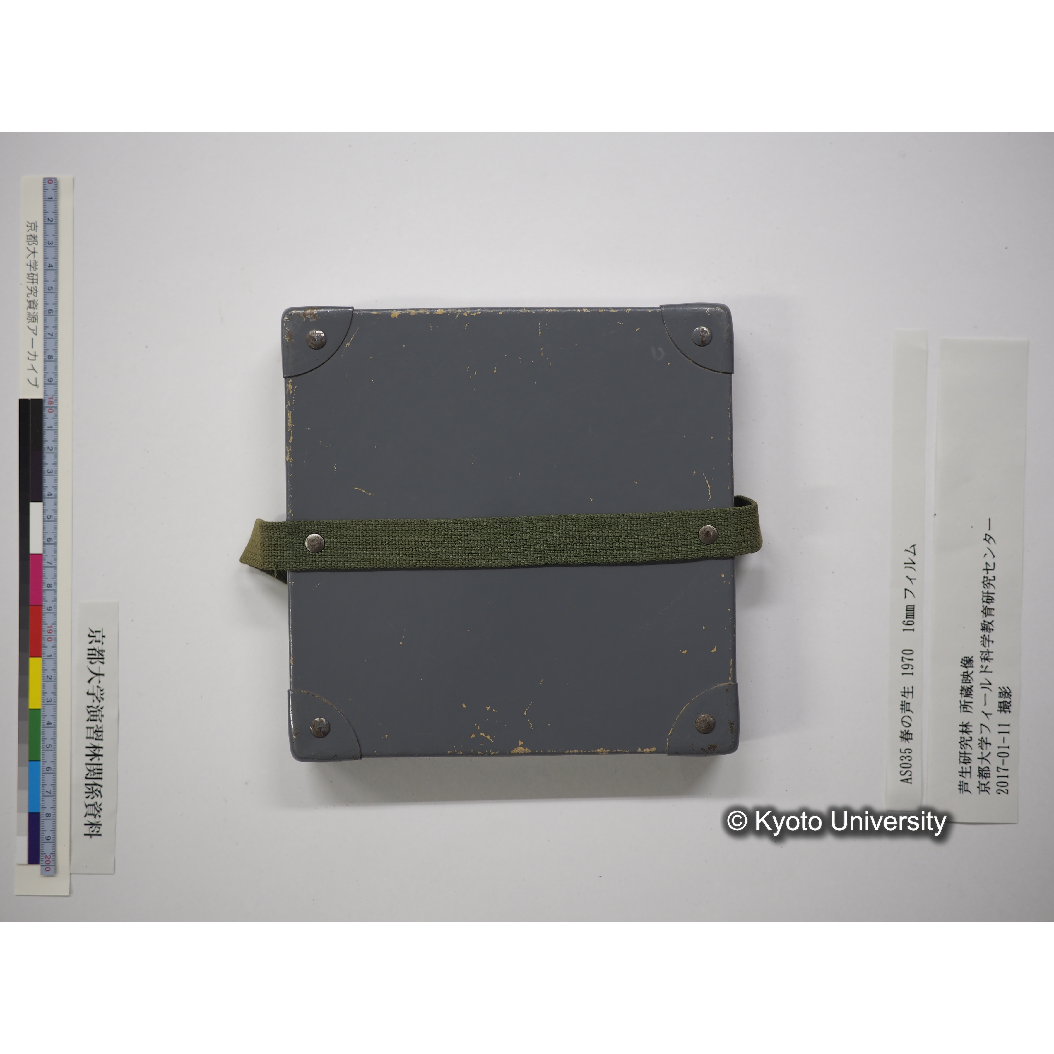 春の芦生 1970 (20)