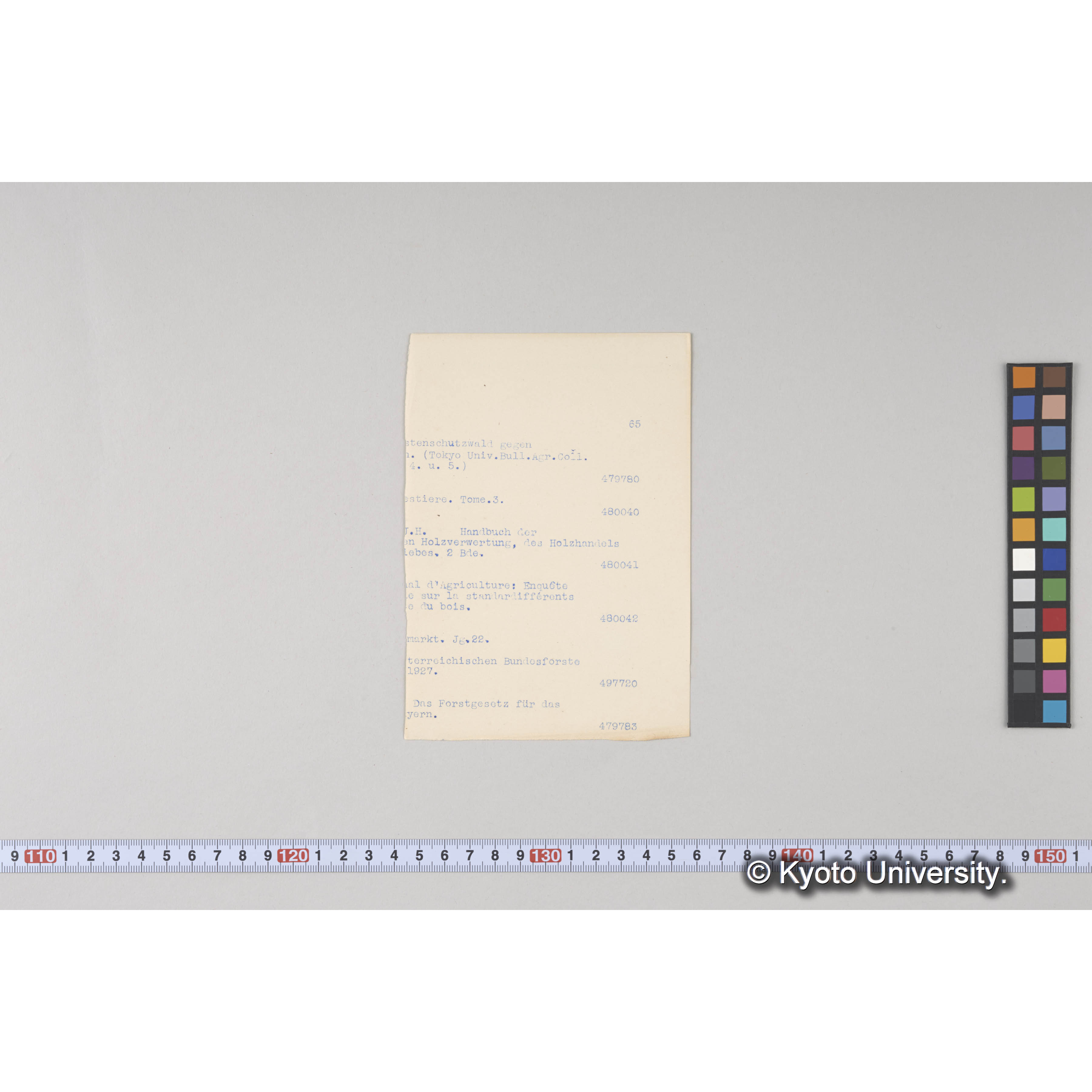 ガラス乾板樺太02 (6)