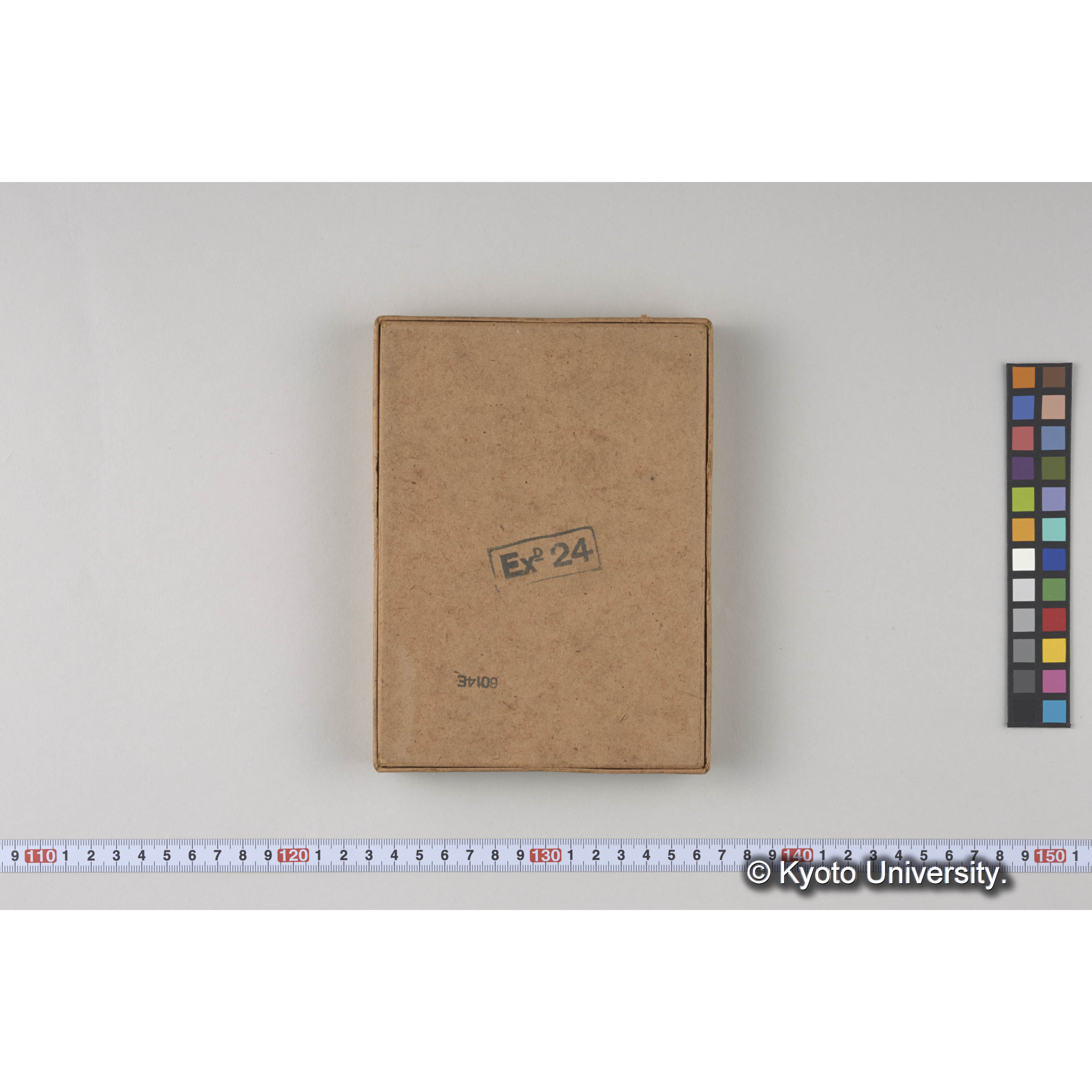 ガラス乾板樺太02 (12)