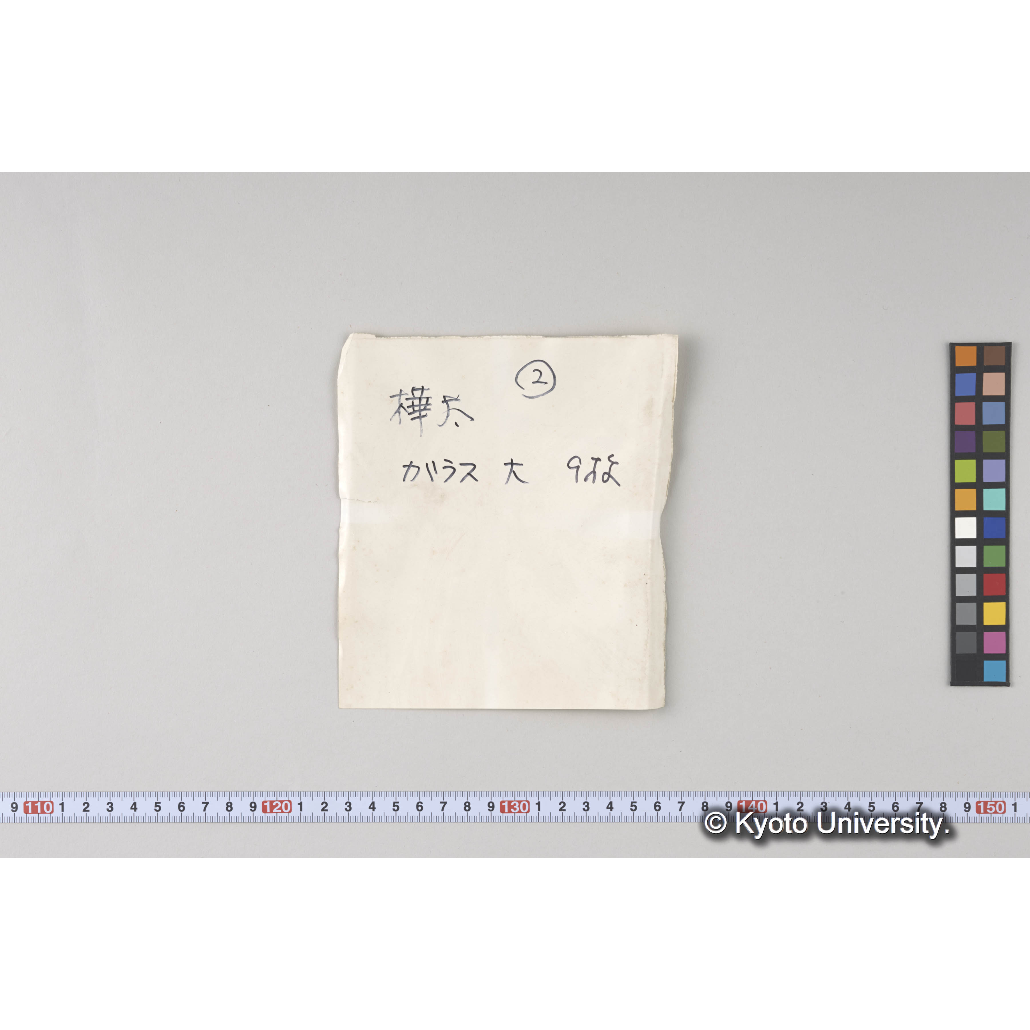 ガラス乾板樺太02 (13)