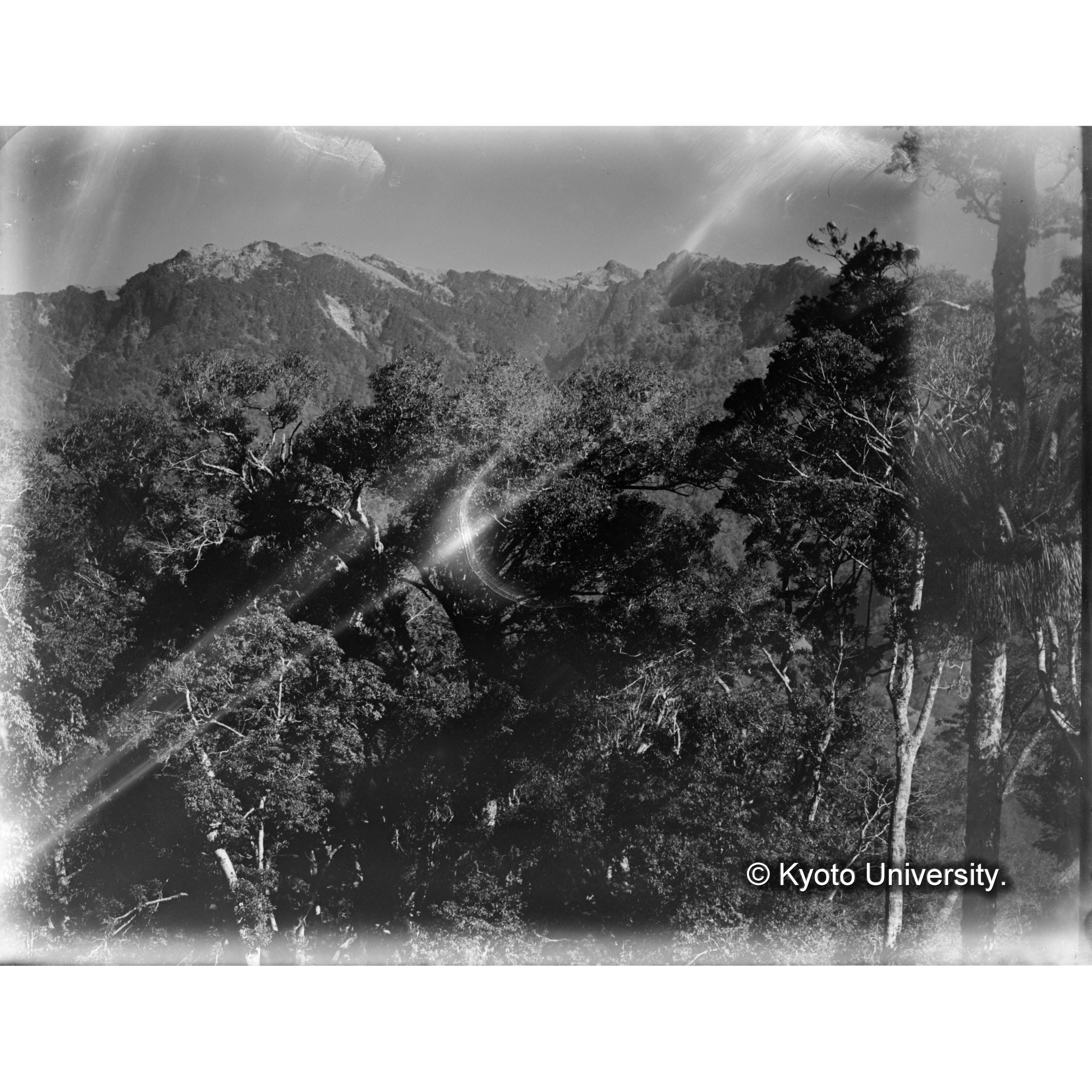 見附駐在所北方からみる卑南主山 (1)