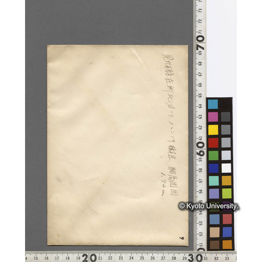 見附駐在所北方における胸高周囲1.74mのハンノキの樹皮 (2)