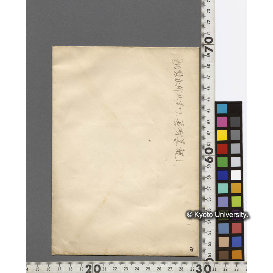 見附駐在所北方の森林景観 (2)