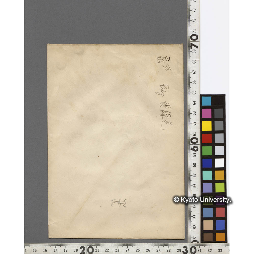 扇平における黄緑色のきのこ (2)