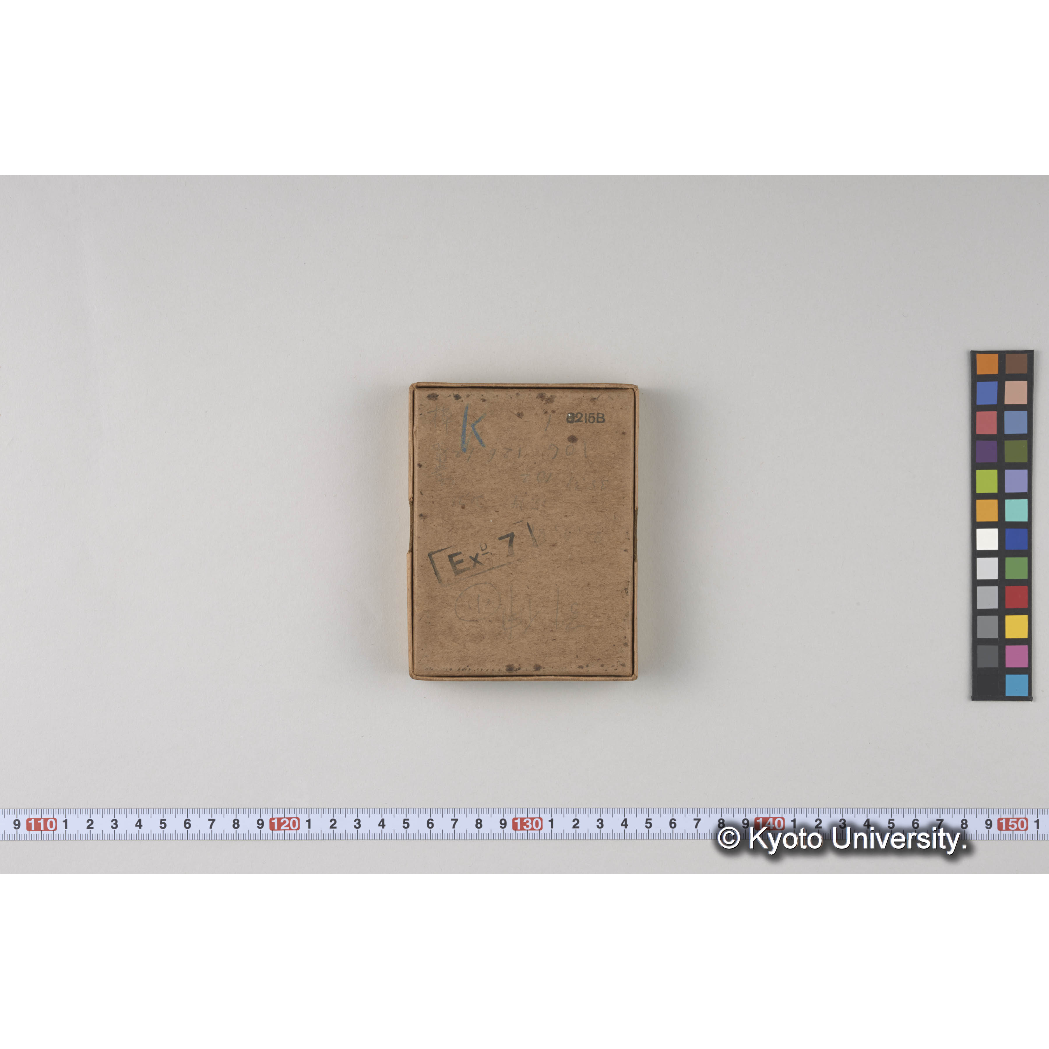 ガラス乾板樺太06 (3)