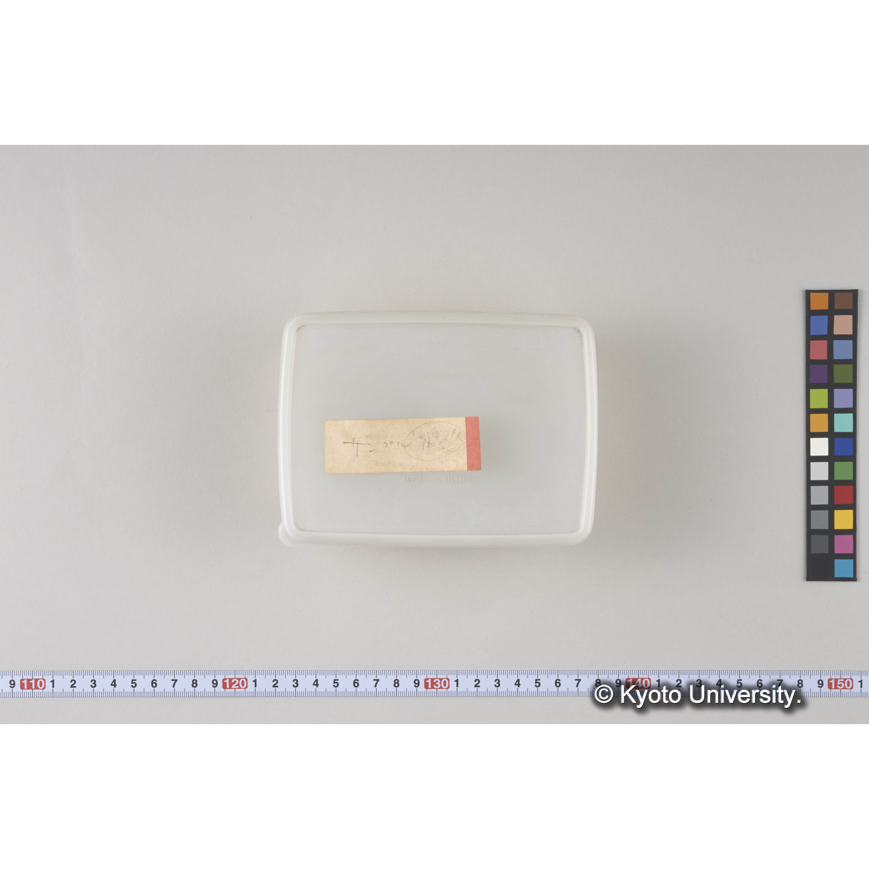 ガラス乾板樺太06 (6)