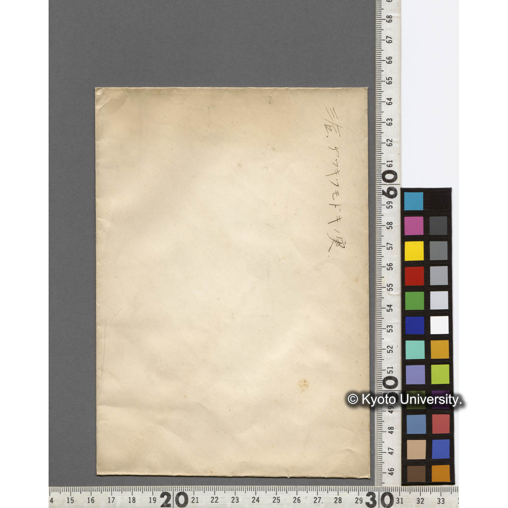 三合、ゲッキツモドキの実　 (2)