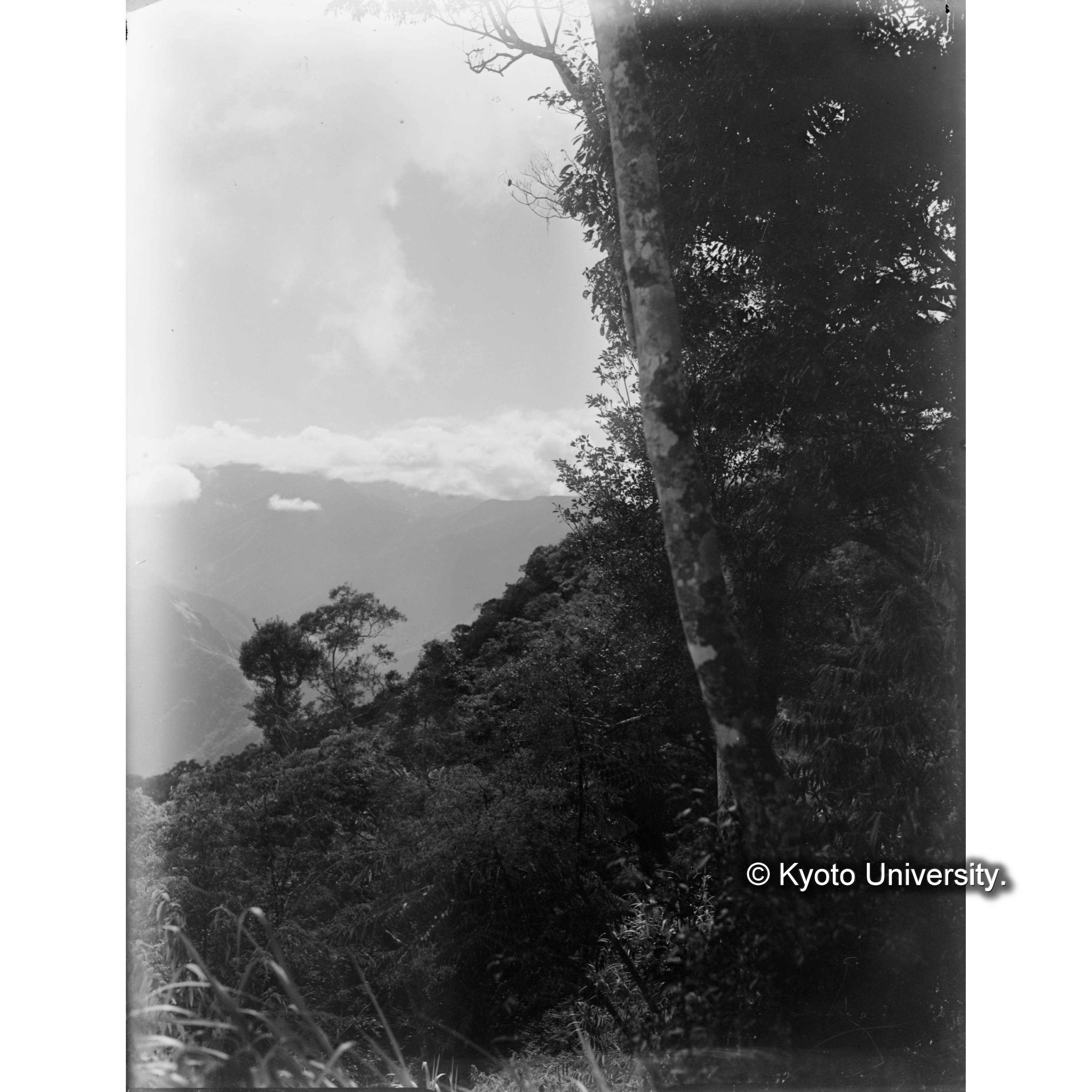 池鯉鮒駐在所附近警備線 (1)