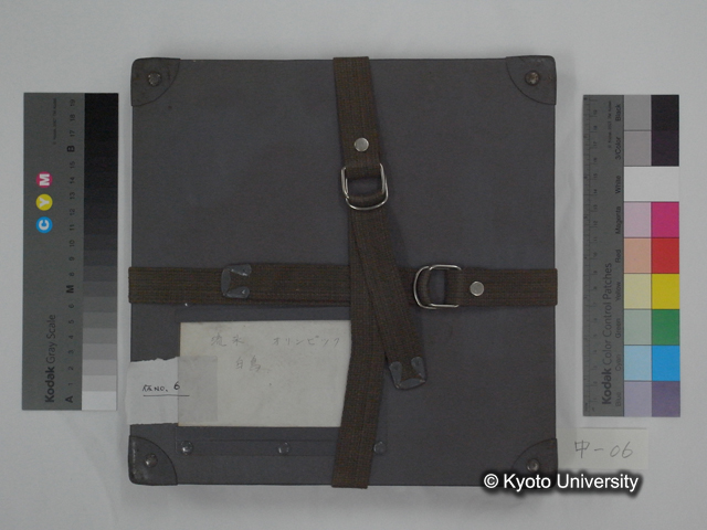 リール中06，流氷・オリンピック・白鳥 (1)