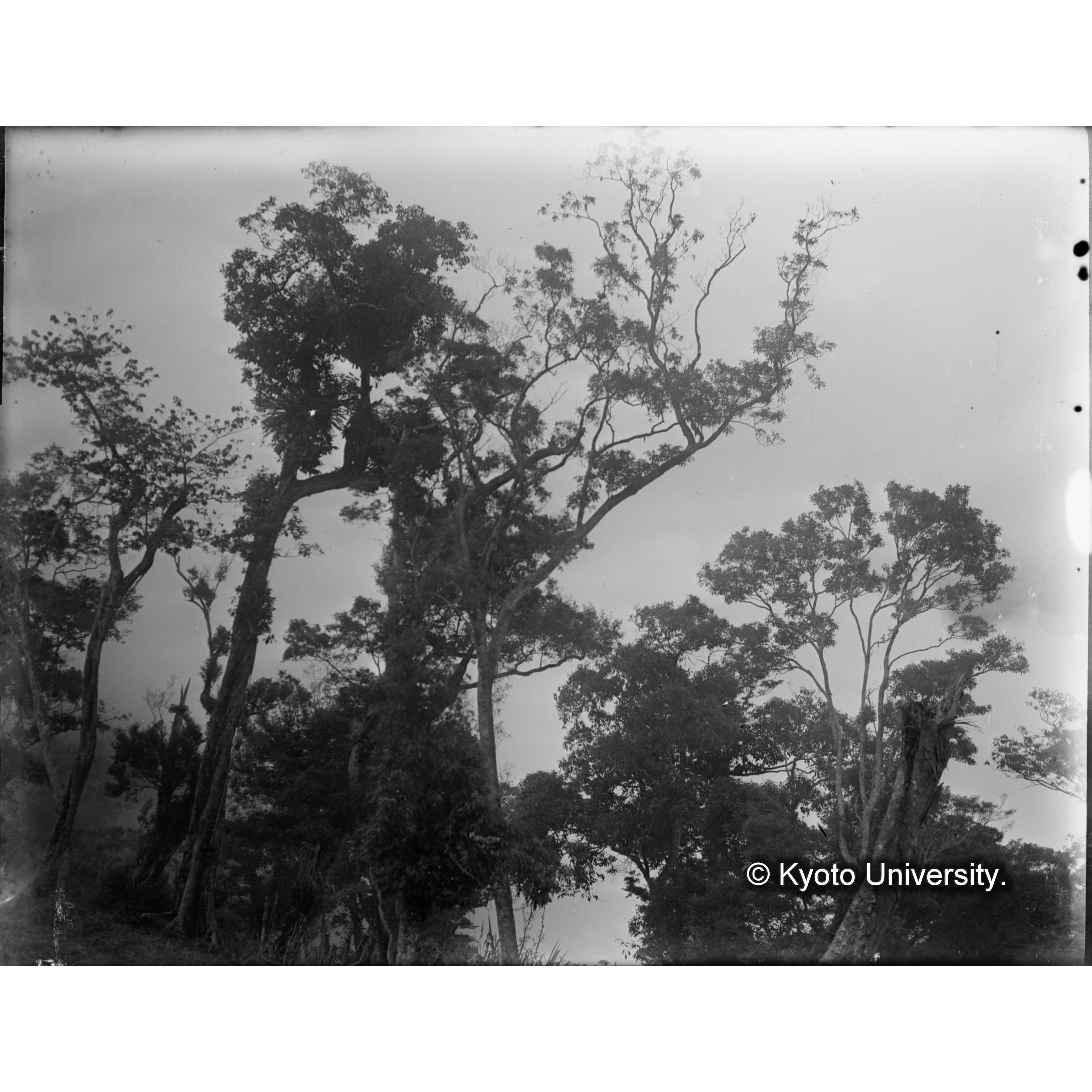 池鯉鮒駐在所　卑南主山 (1)