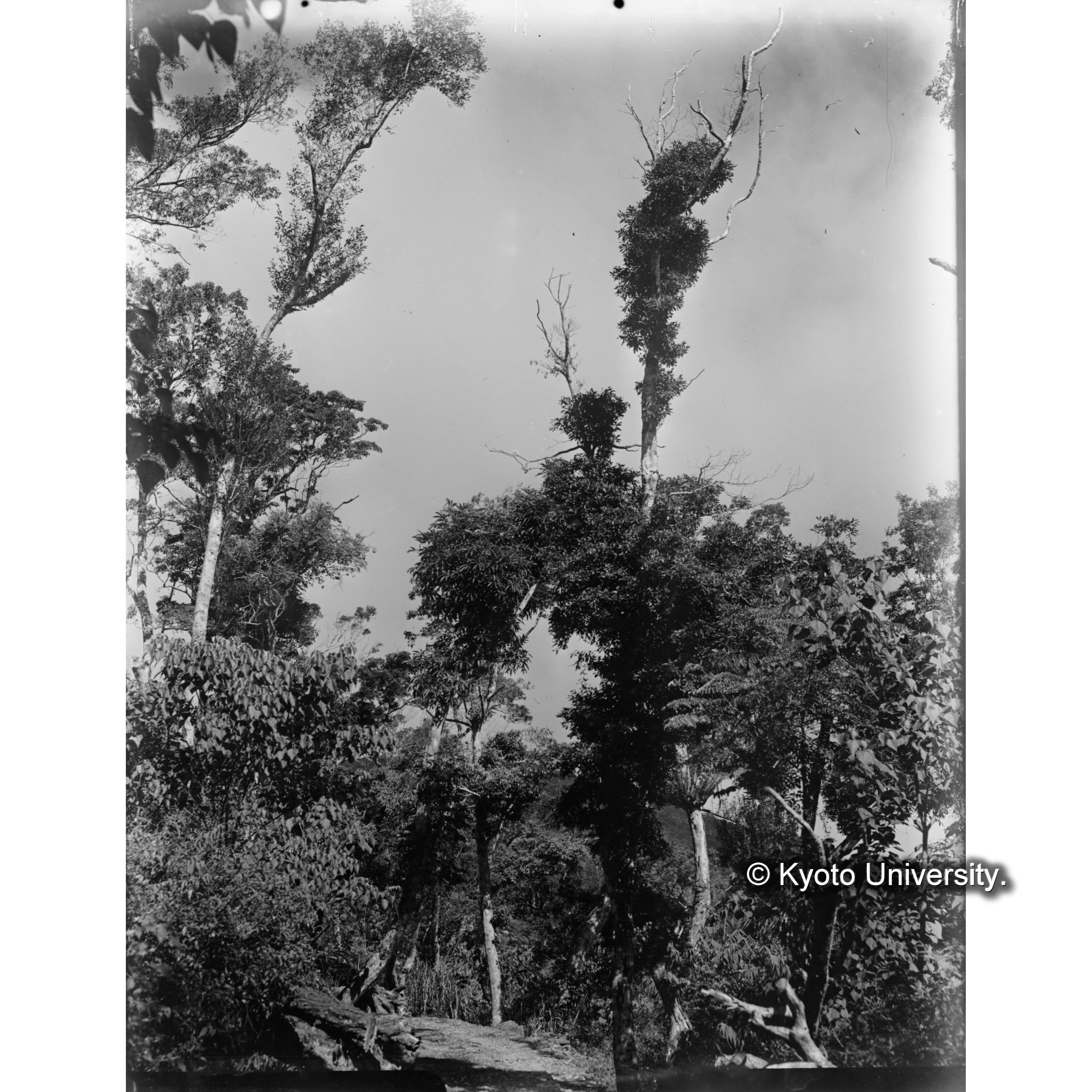 池鯉鮒駐在所　附近警備線 (1)