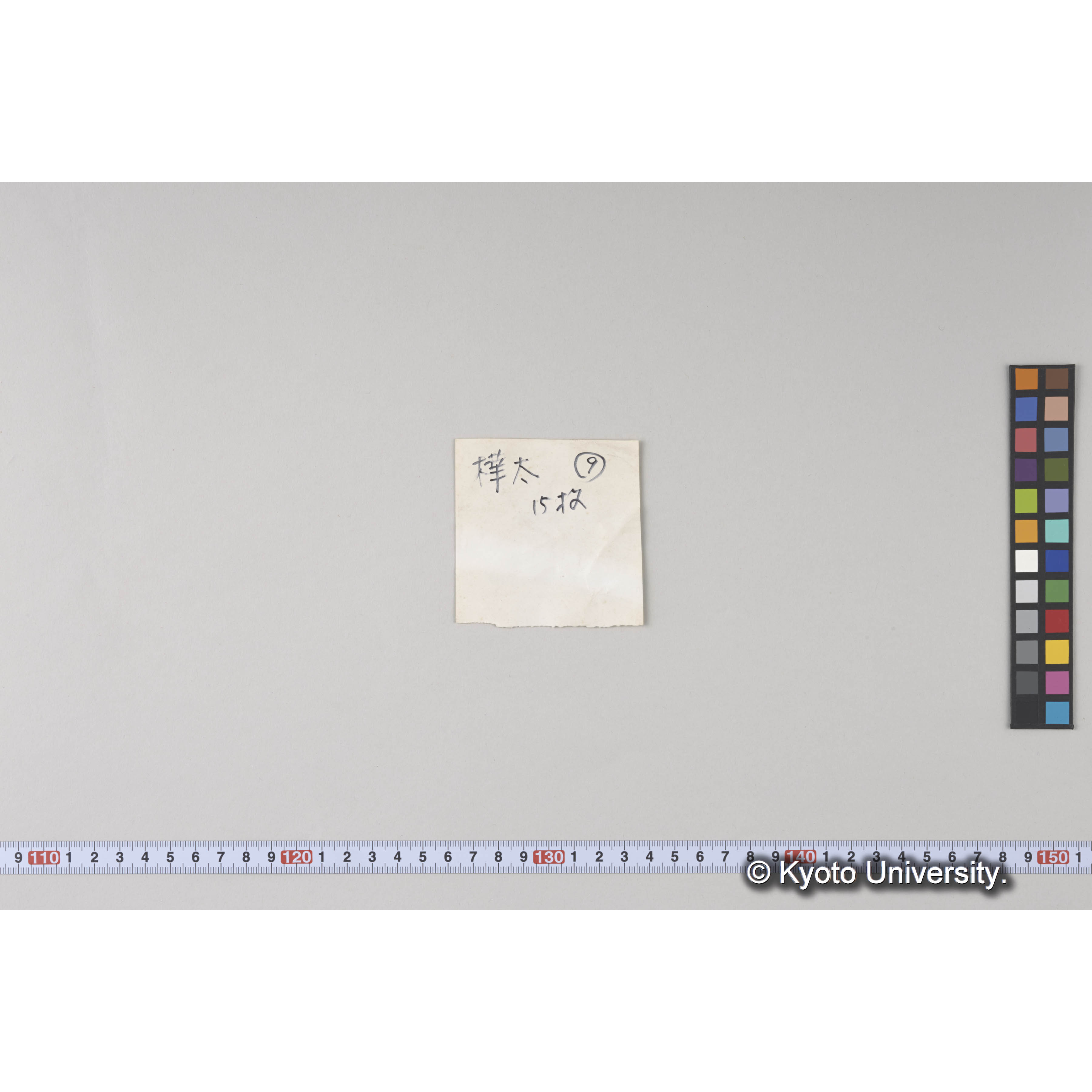 ガラス乾板樺太09 (5)