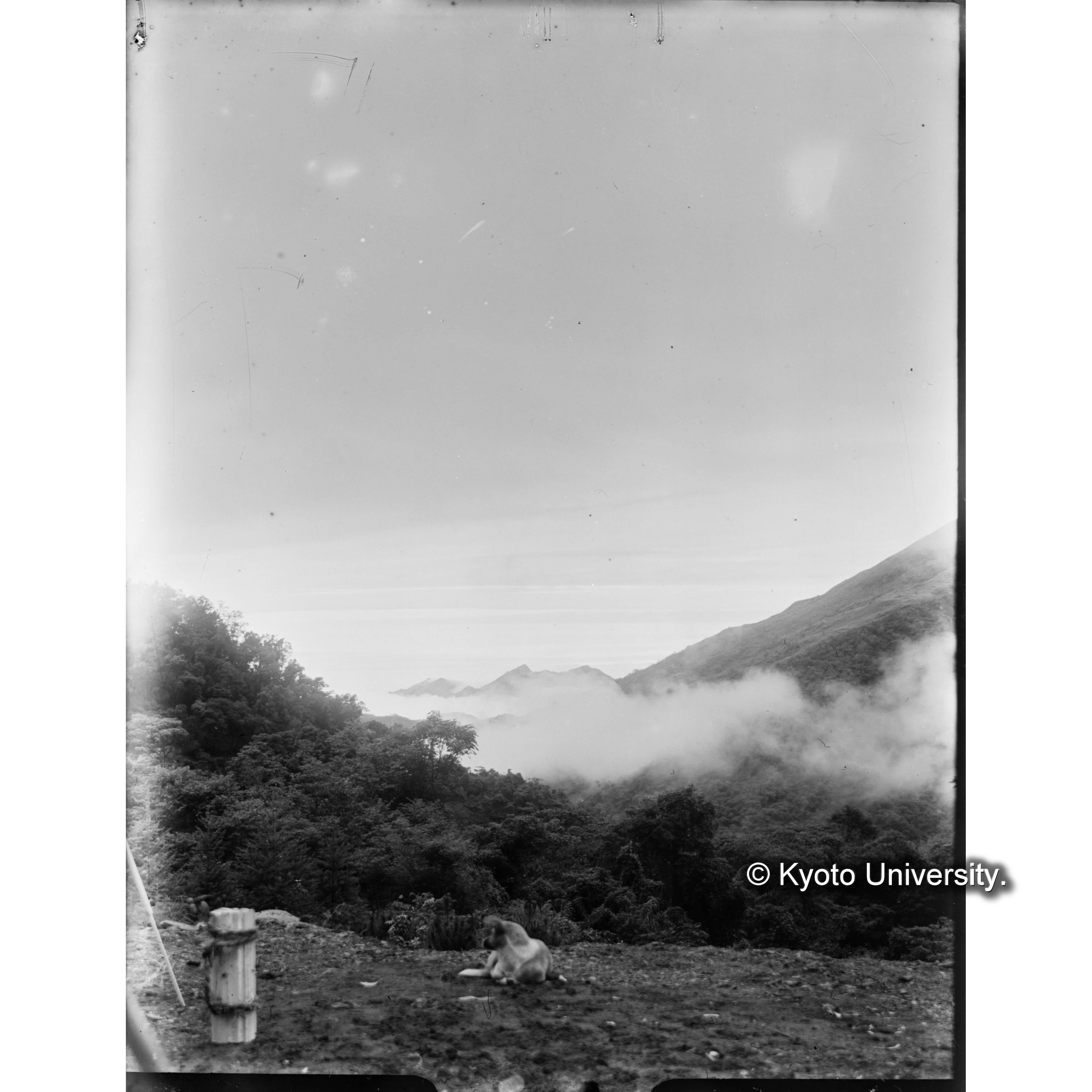 三合渓小屋より下方を望む　 (1)