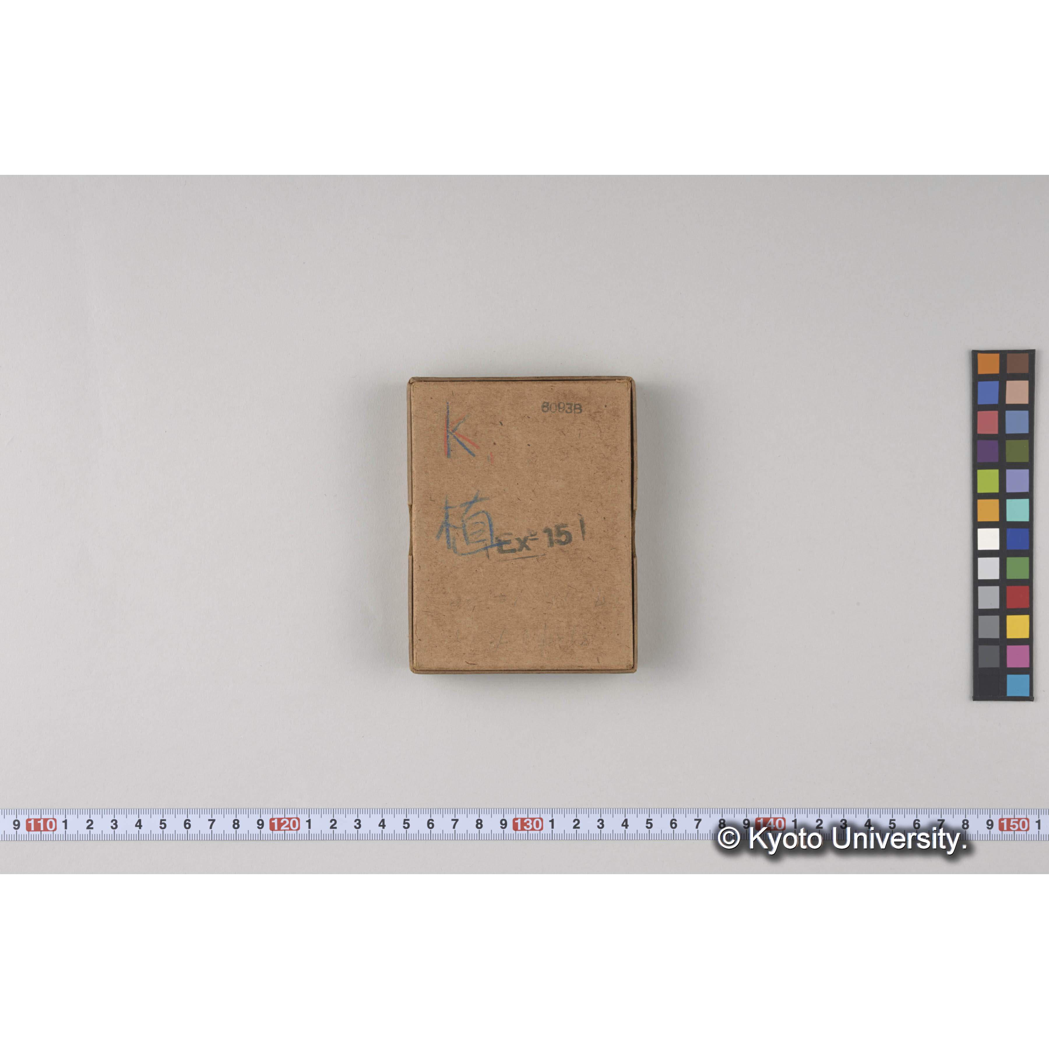 ガラス乾板樺太05 (1)