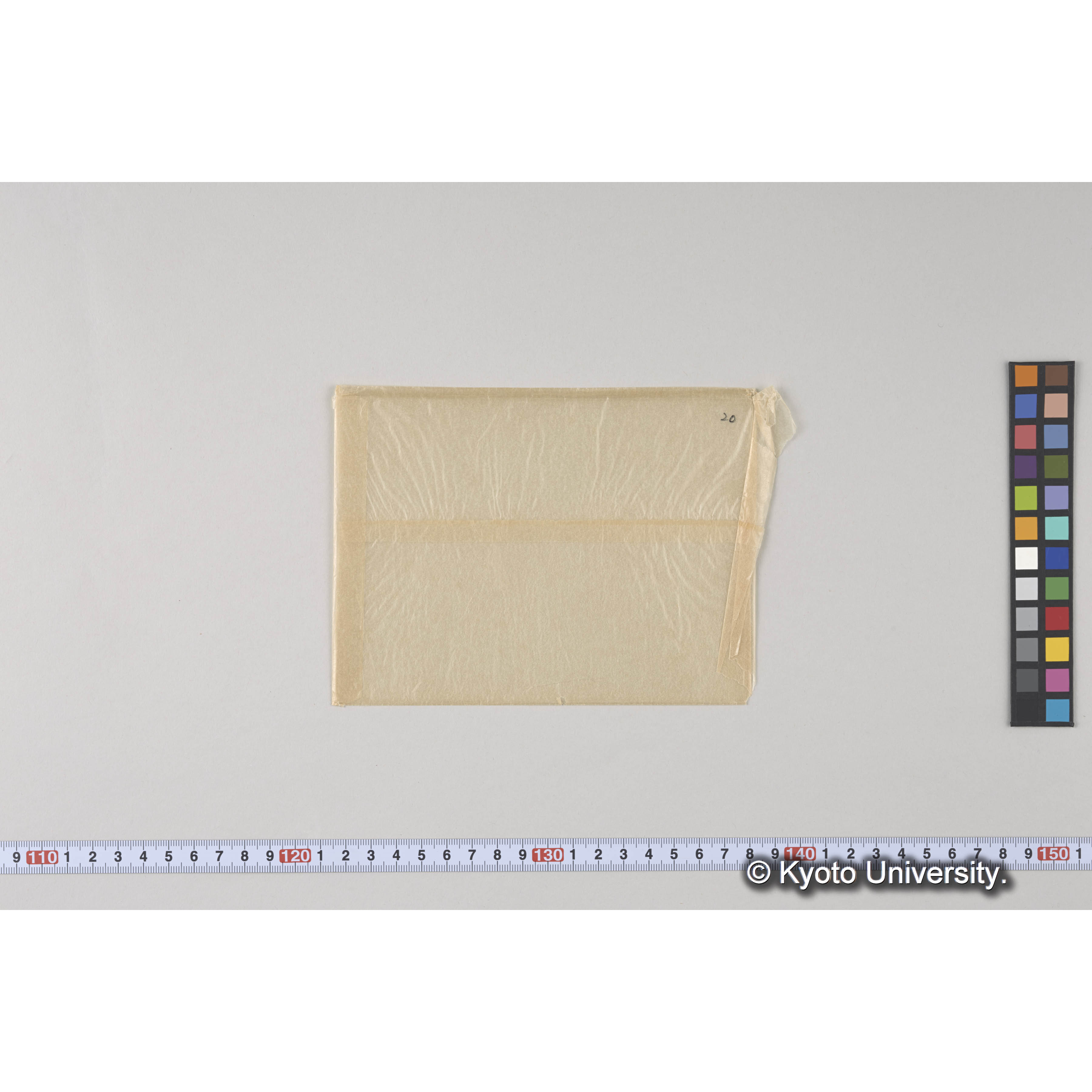 ガラス乾板L (1)