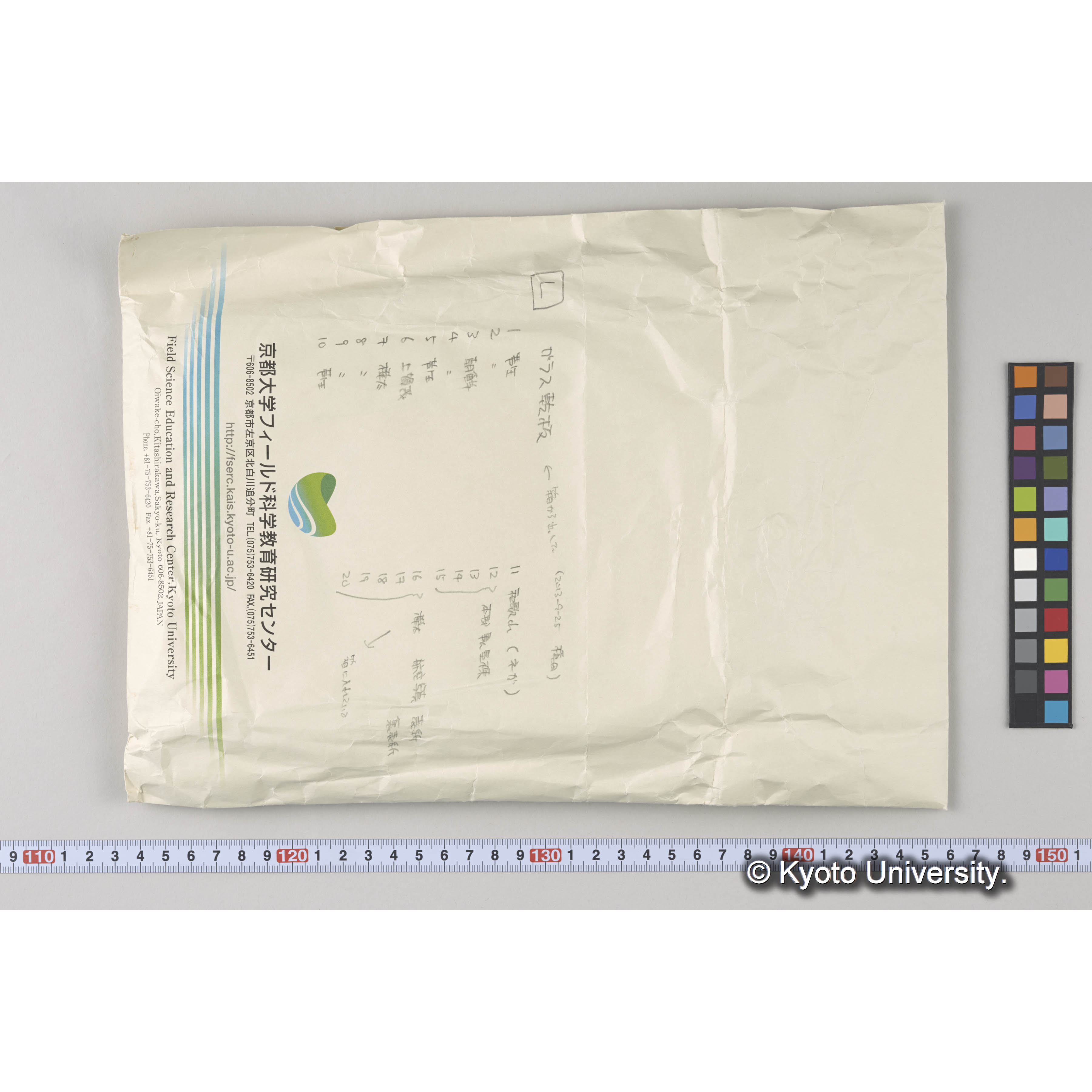 ガラス乾板L (6)