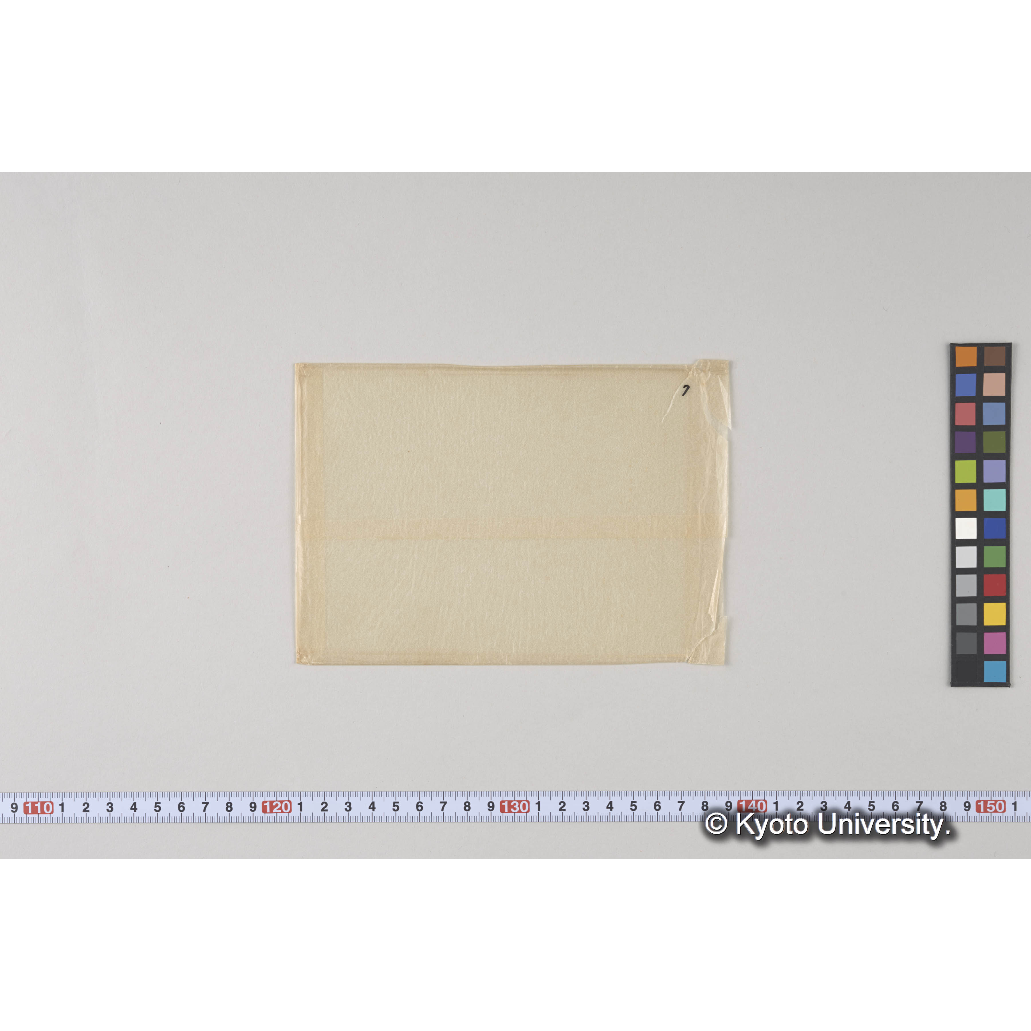 ガラス乾板L (12)