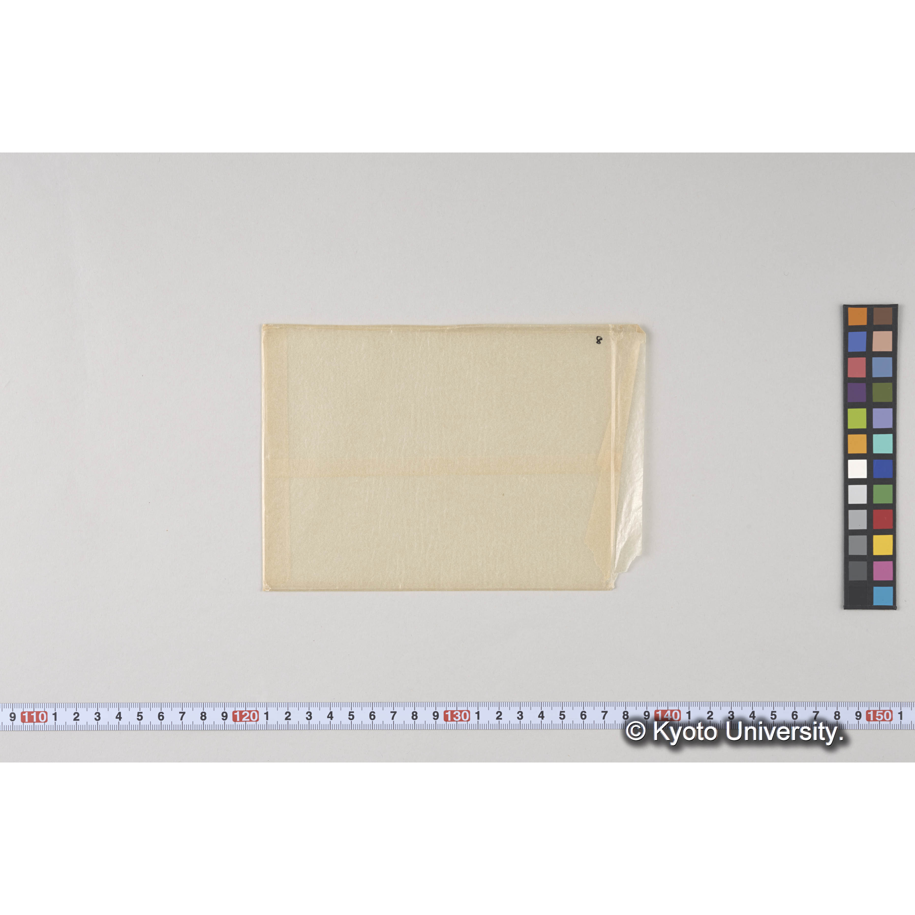 ガラス乾板L (14)