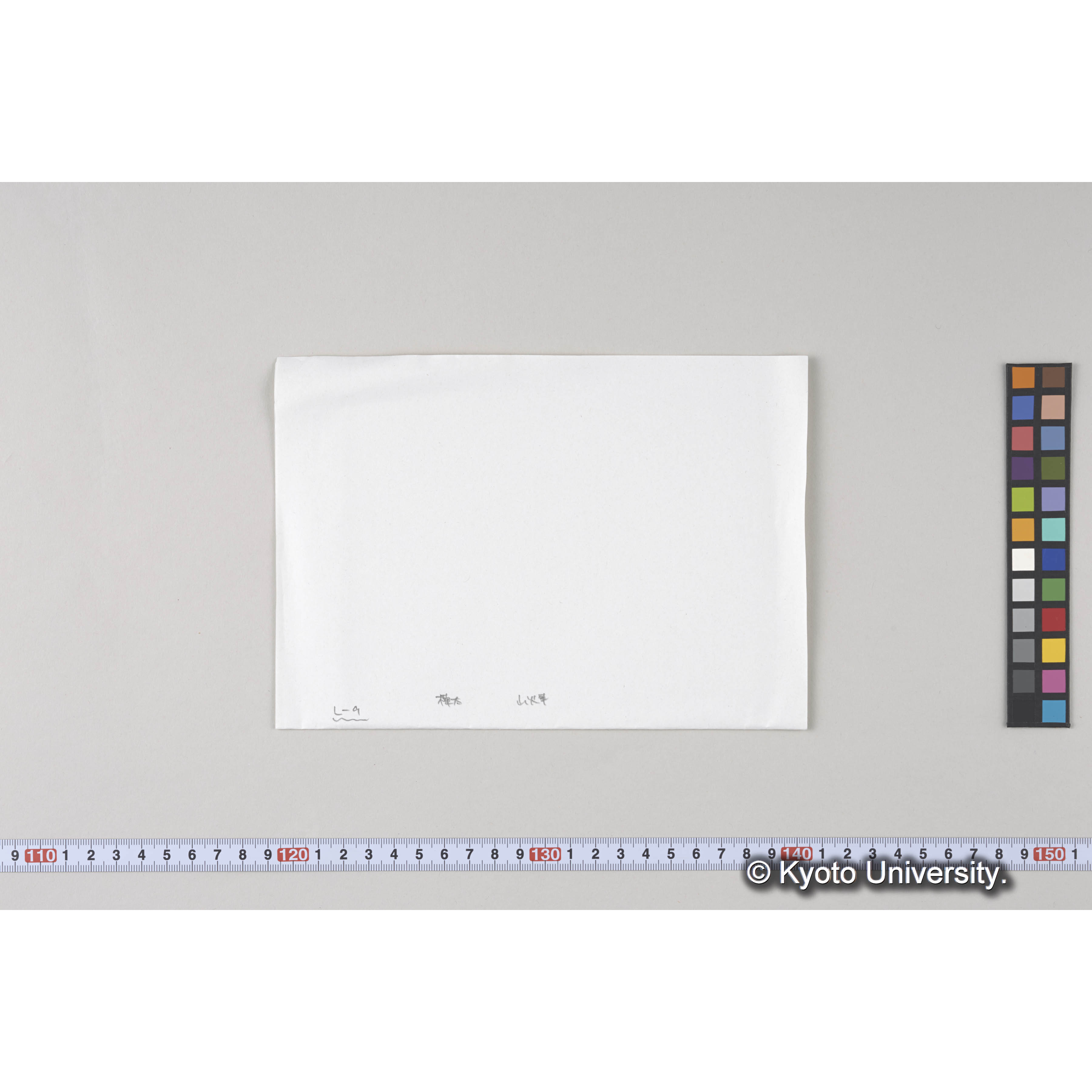 ガラス乾板L (15)