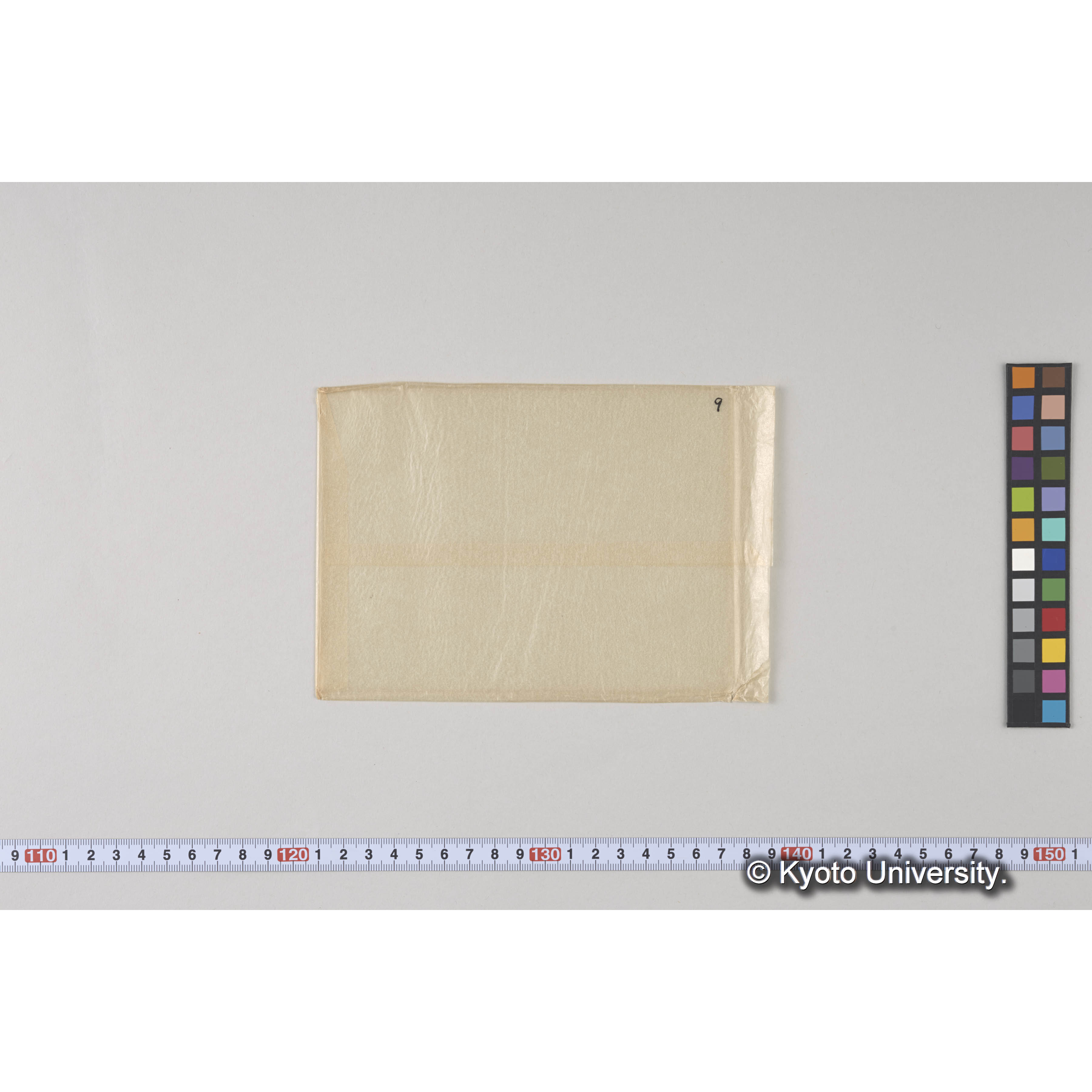 ガラス乾板L (16)