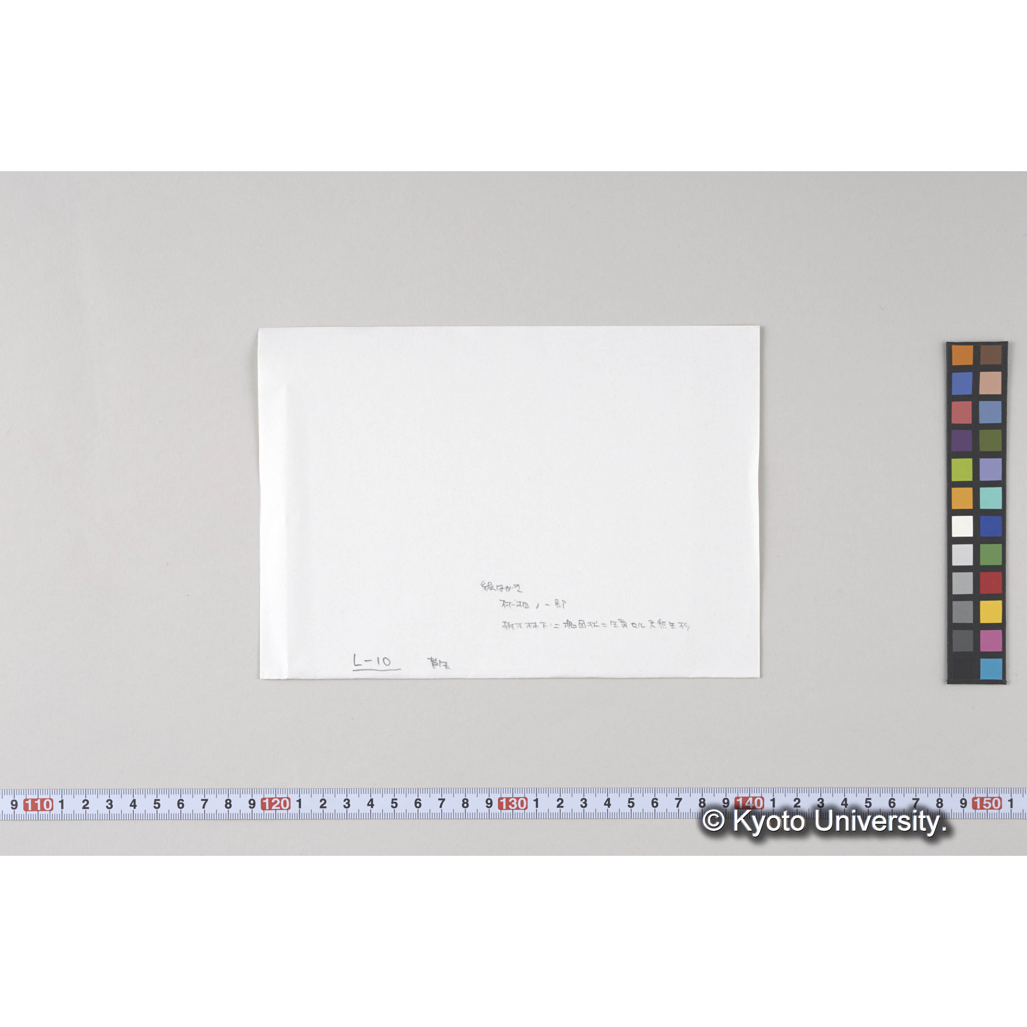 ガラス乾板L (17)