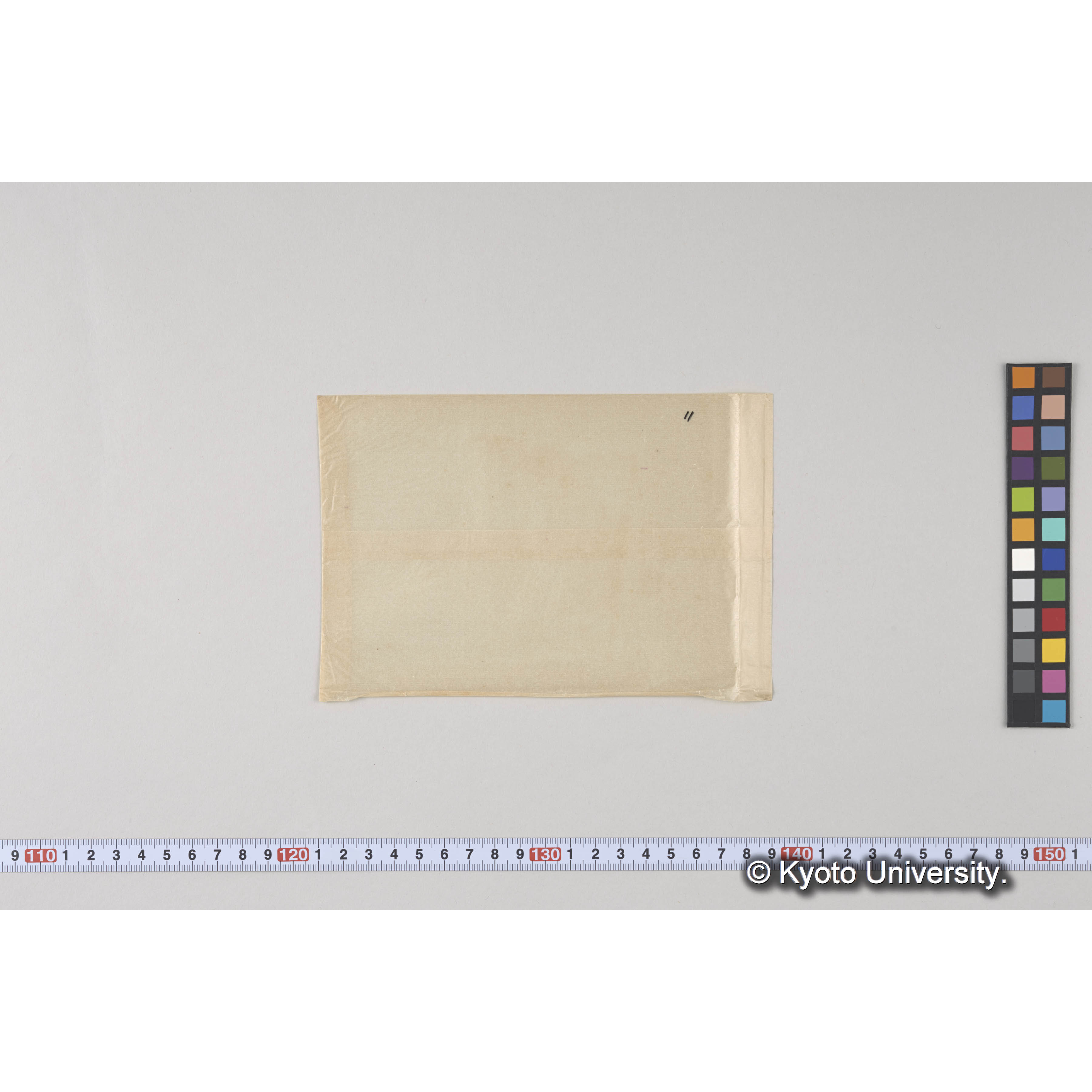 ガラス乾板L (20)