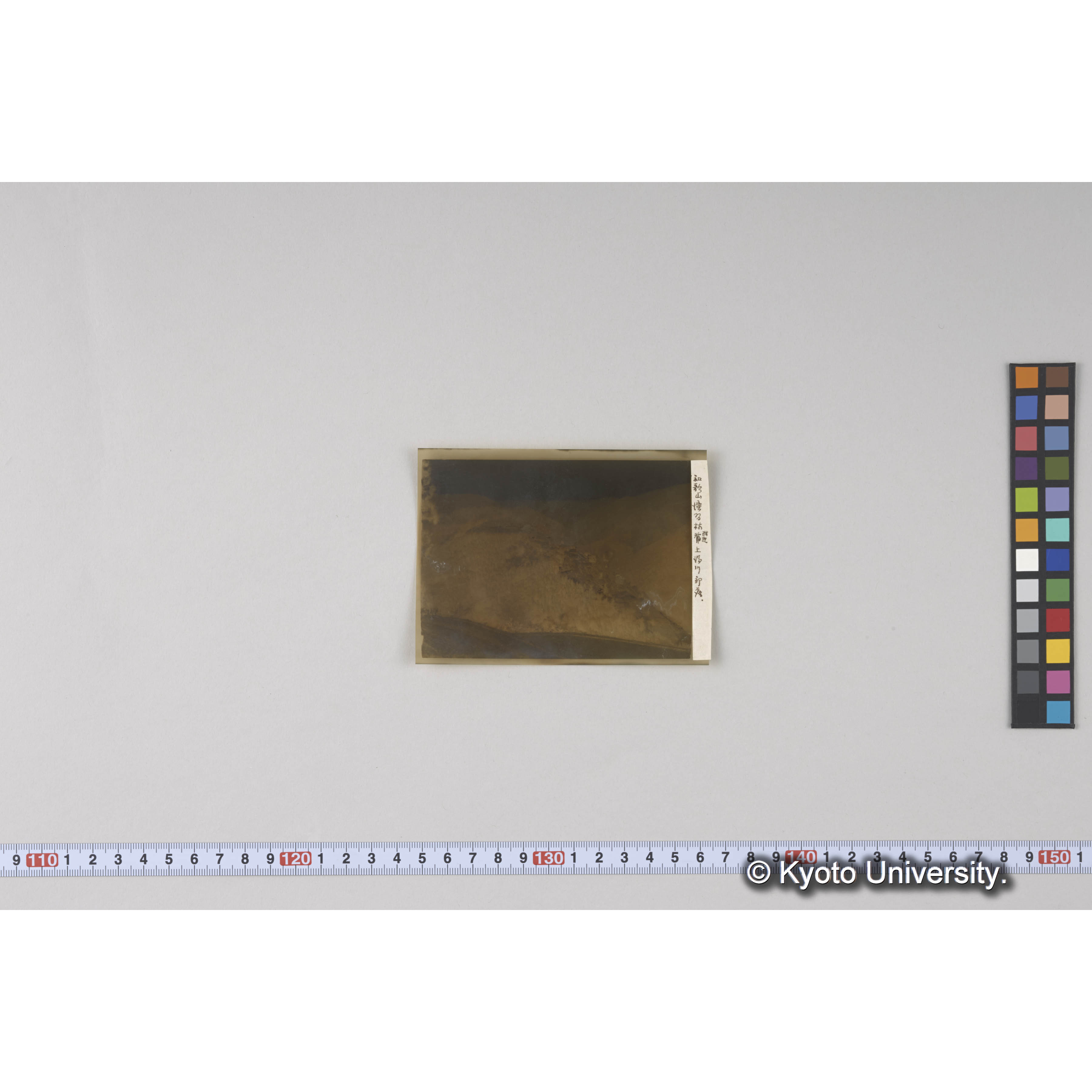 ガラス乾板L (21)