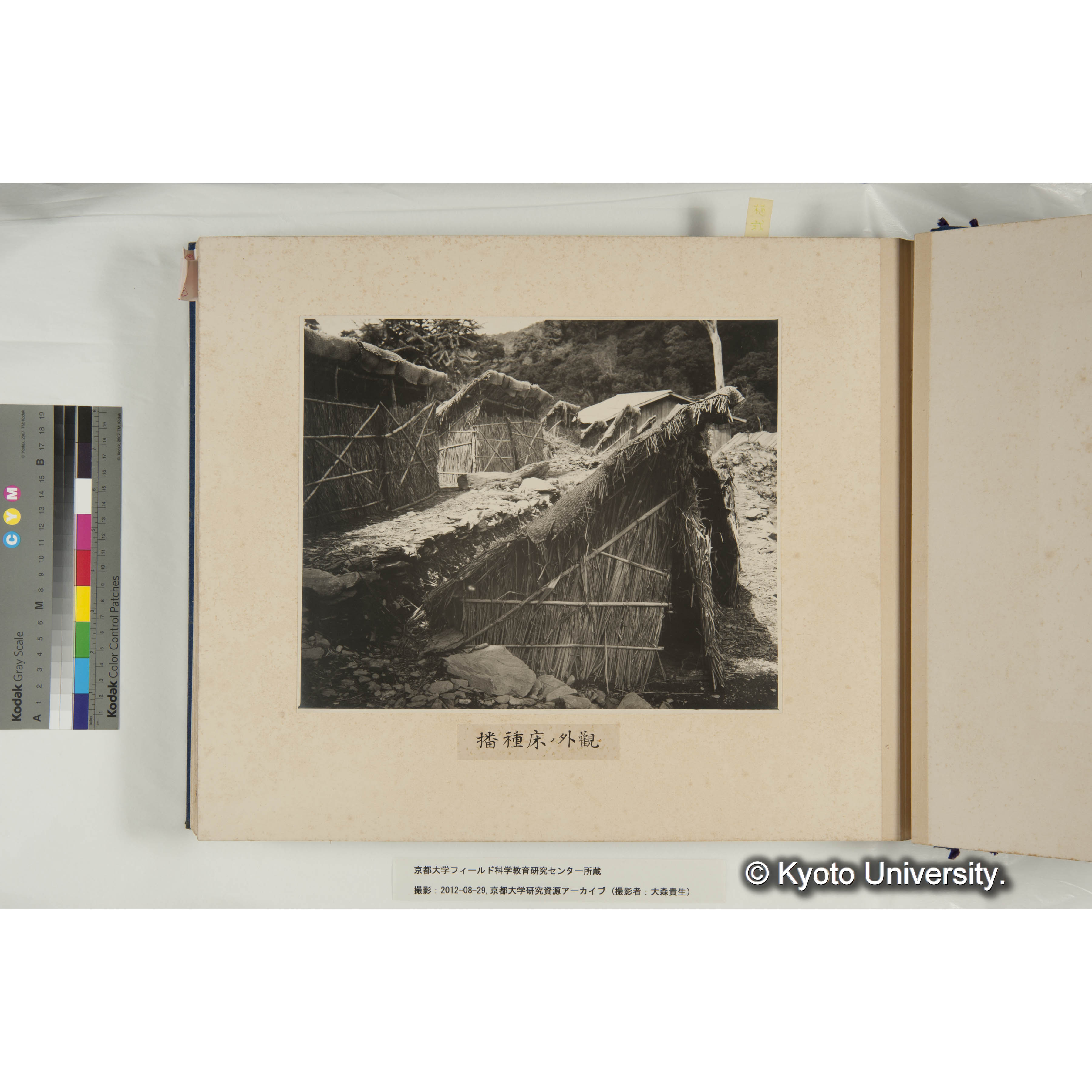 規那樹播種床の外観 (1)