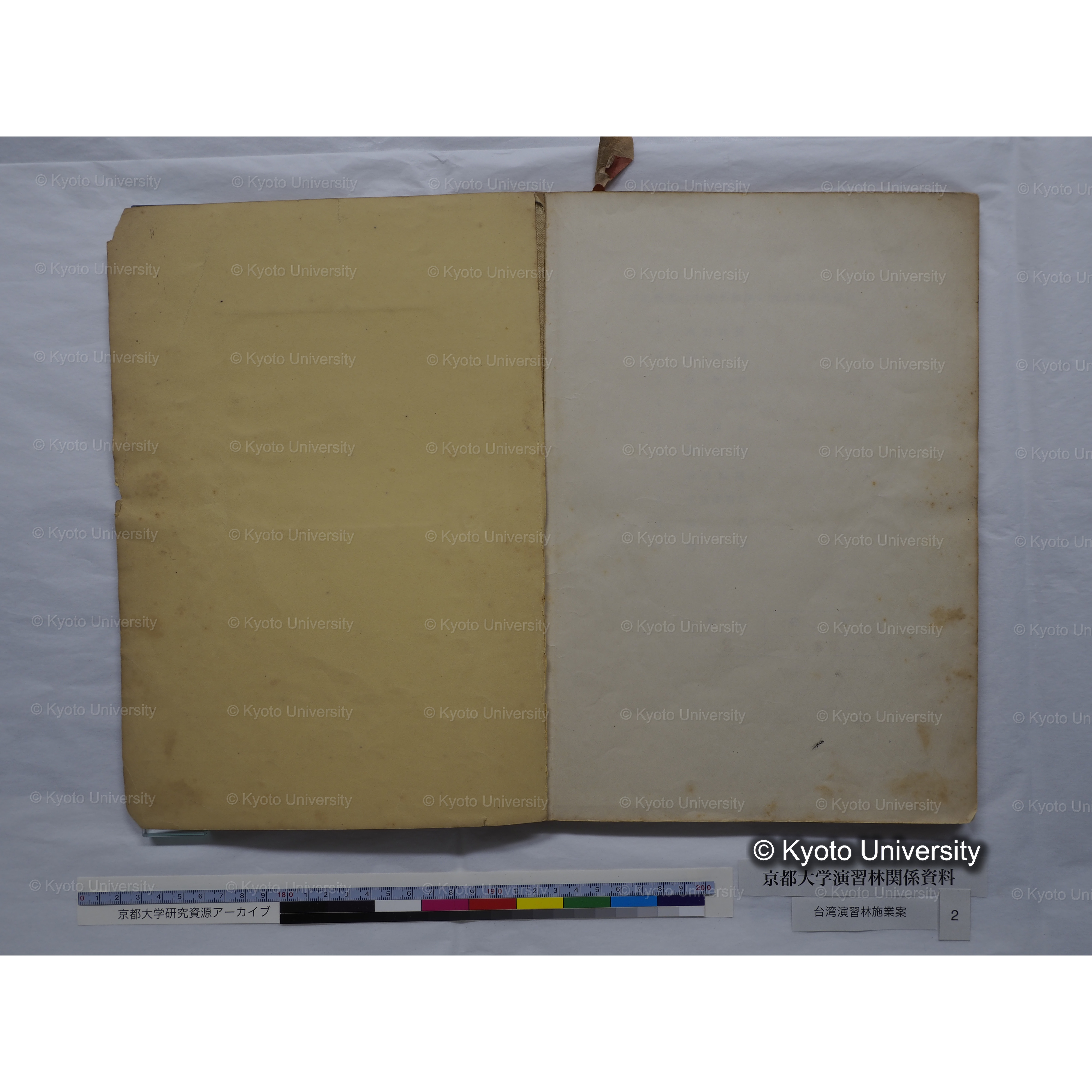 台湾演習林　施業案　実行期間＜自昭和 6年／至昭和12年＞　昭和六年四月編成. (95)