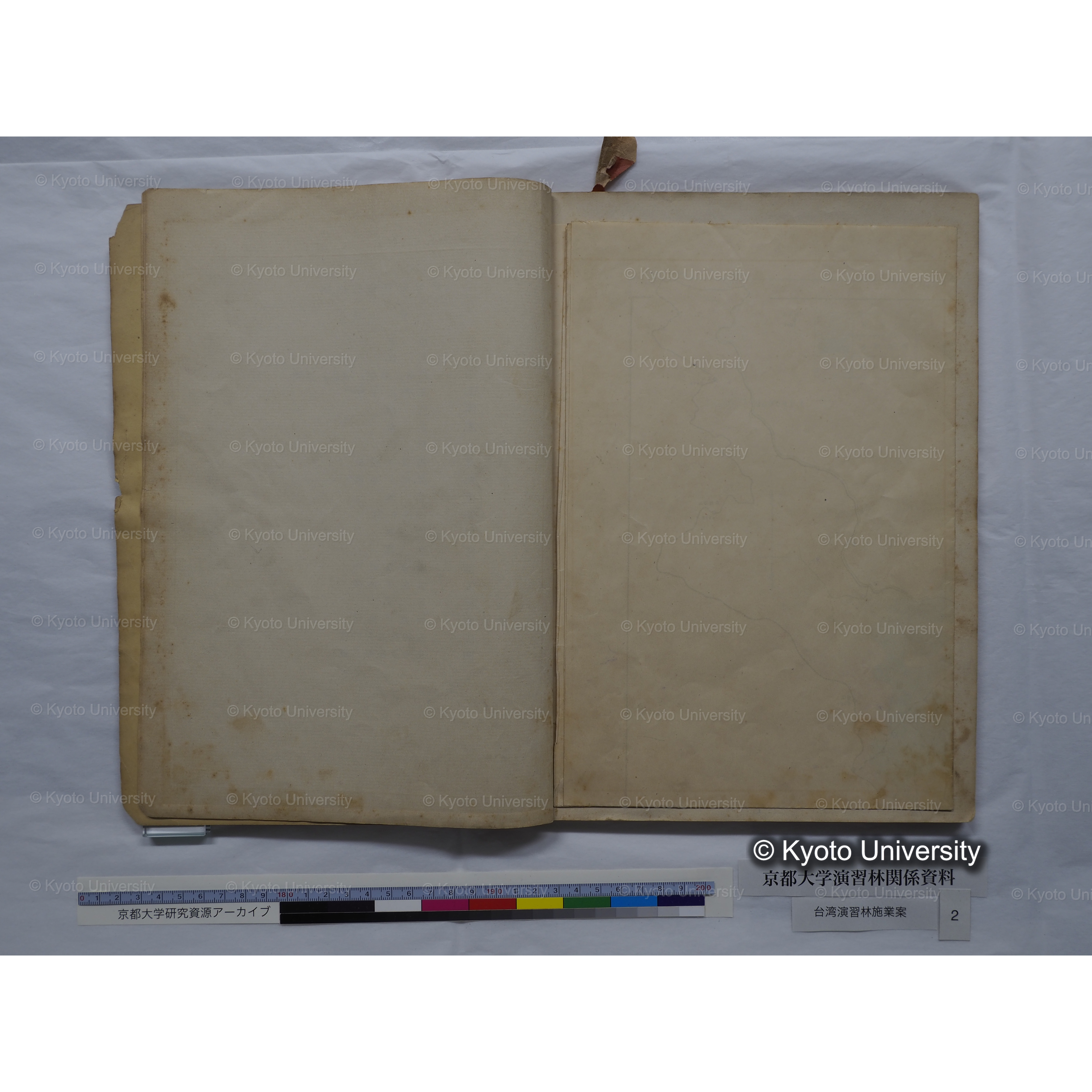 台湾演習林　施業案　実行期間＜自昭和 6年／至昭和12年＞　昭和六年四月編成. (99)