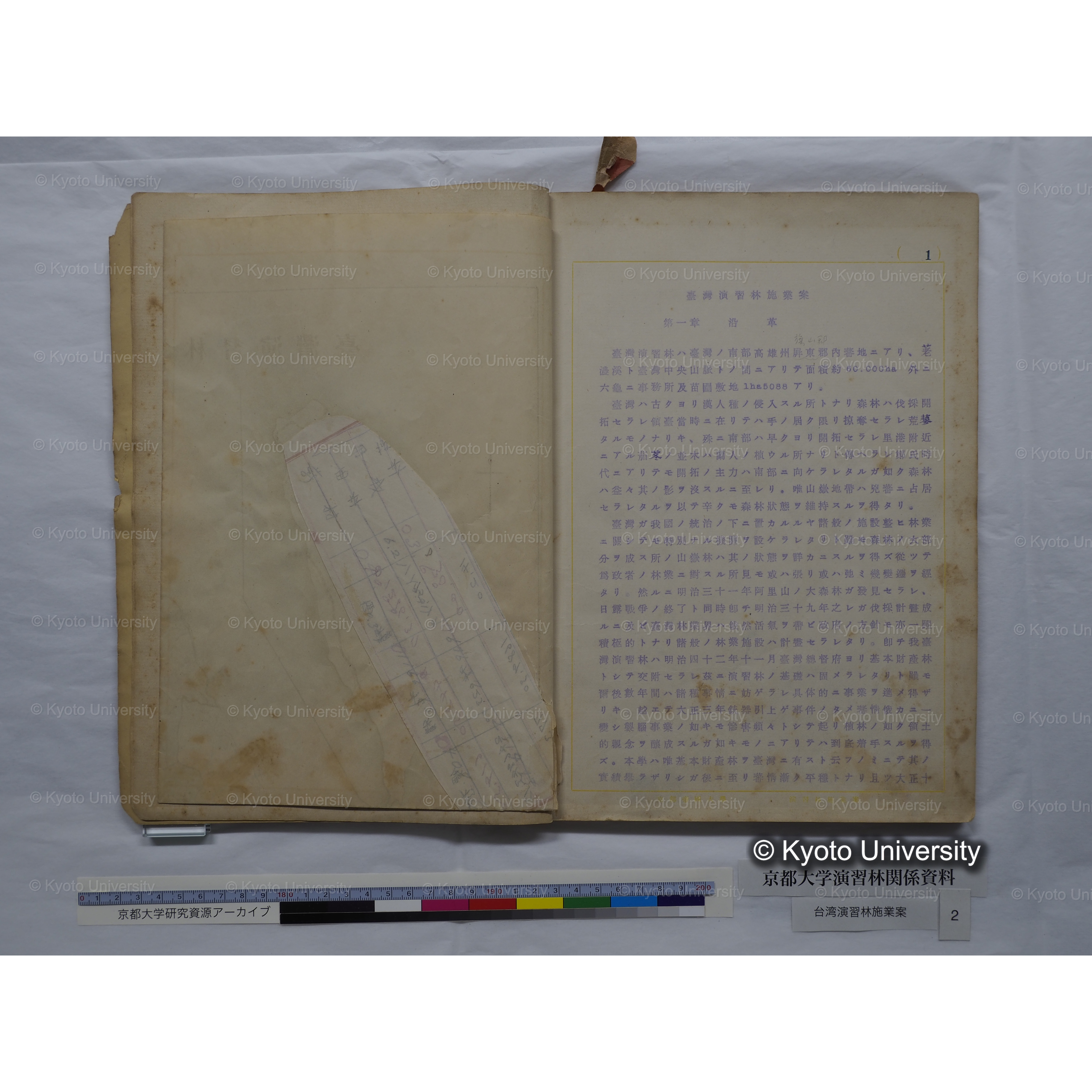 台湾演習林　施業案　実行期間＜自昭和 6年／至昭和12年＞　昭和六年四月編成. (100)