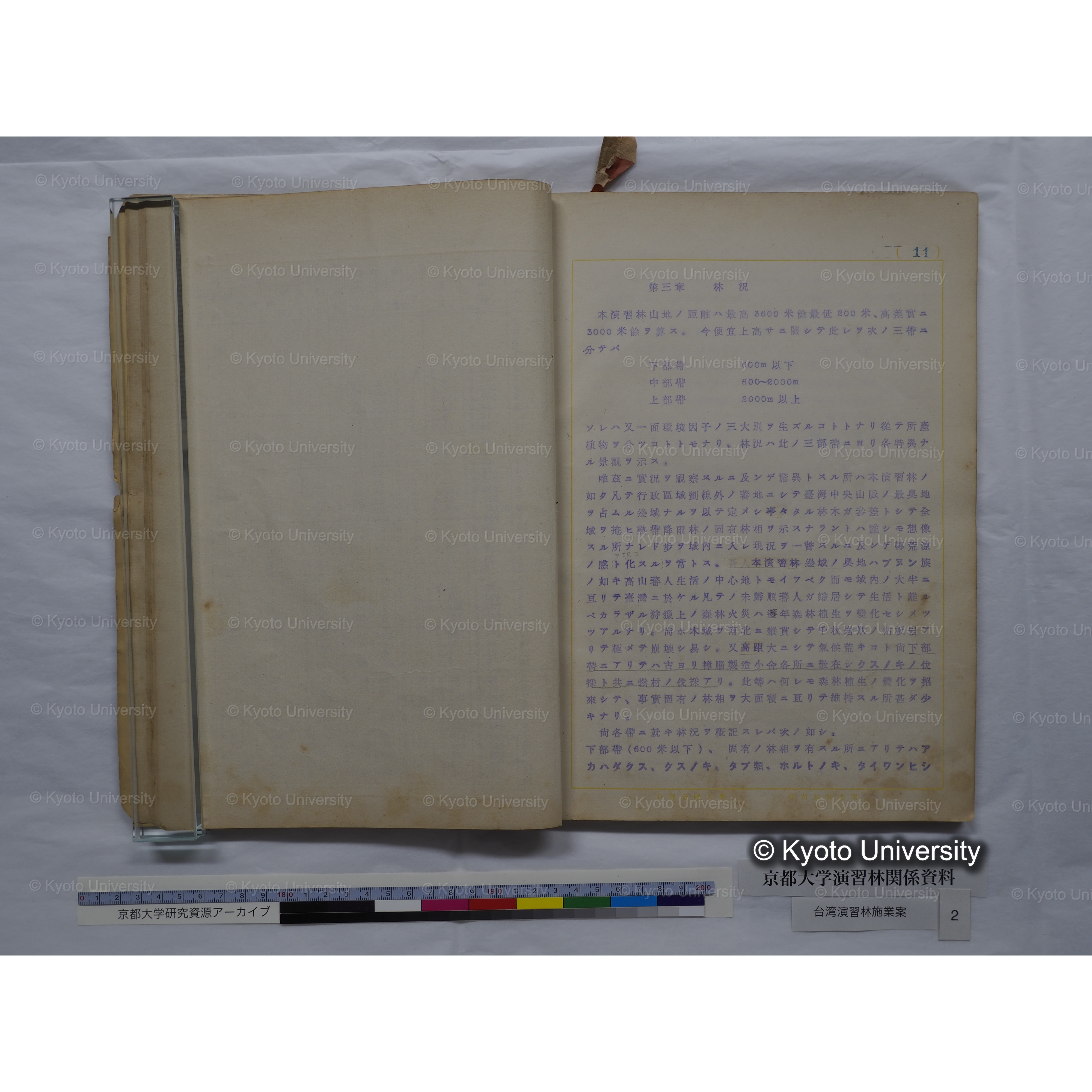 台湾演習林　施業案　実行期間＜自昭和 6年／至昭和12年＞　昭和六年四月編成. (110)