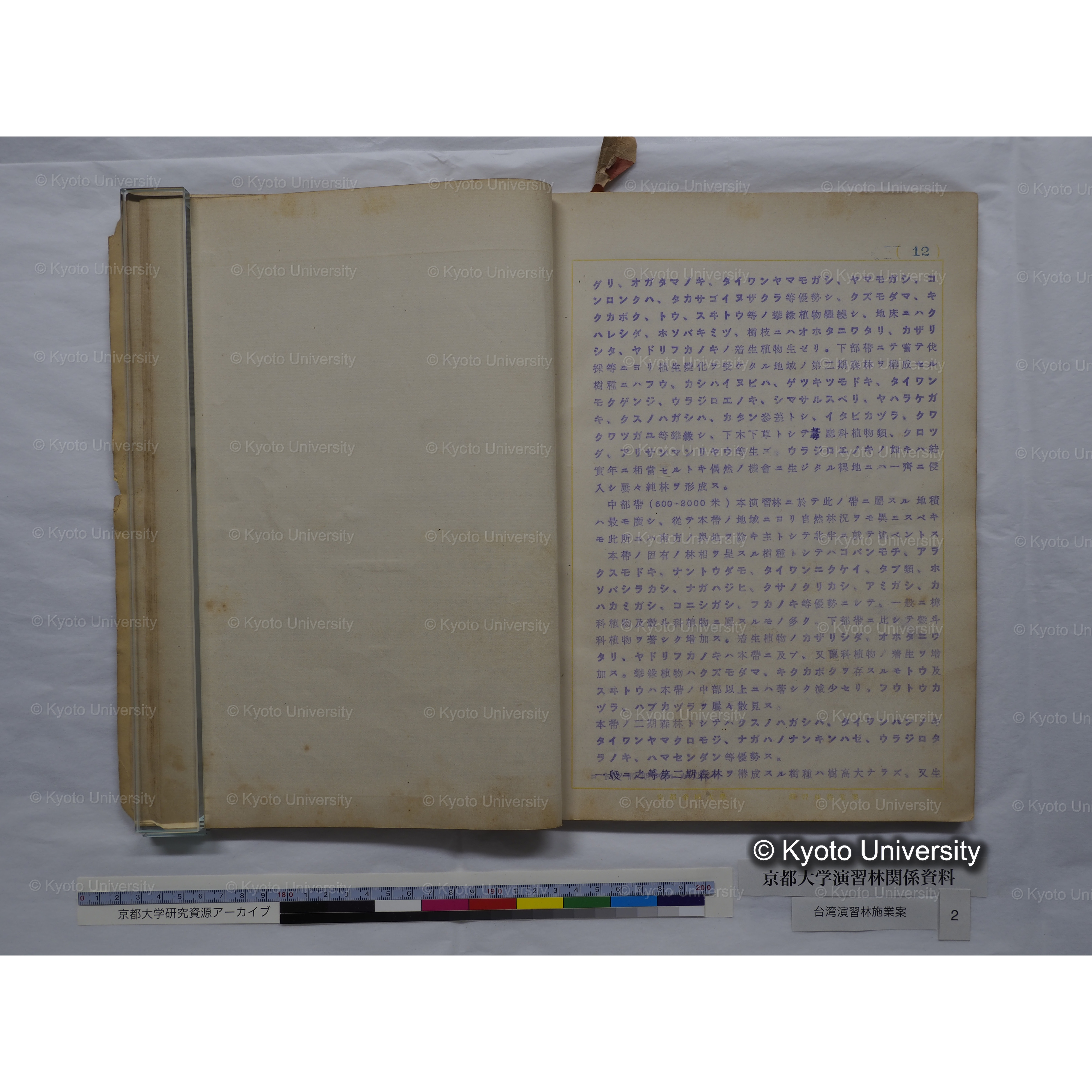 台湾演習林　施業案　実行期間＜自昭和 6年／至昭和12年＞　昭和六年四月編成. (111)
