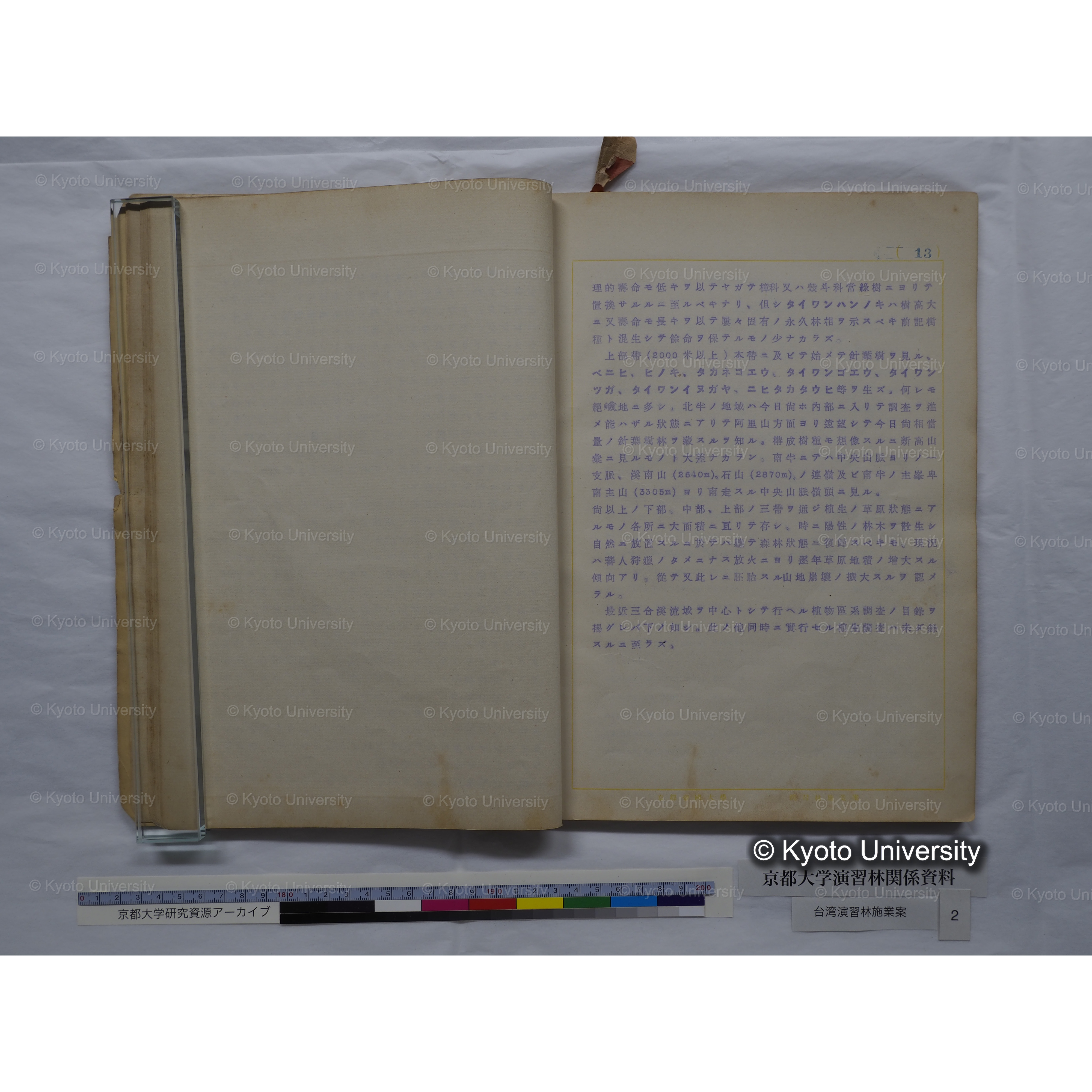 台湾演習林　施業案　実行期間＜自昭和 6年／至昭和12年＞　昭和六年四月編成. (112)