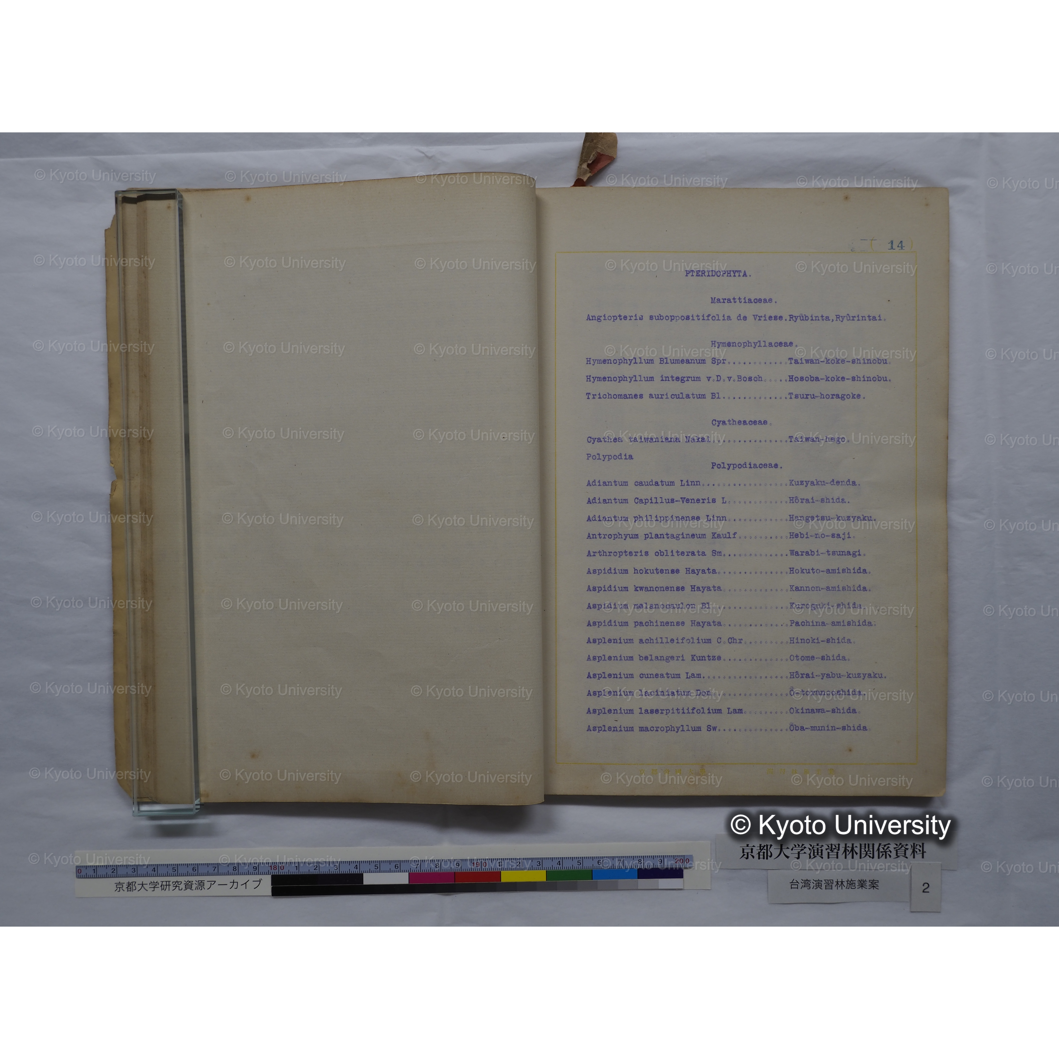 台湾演習林　施業案　実行期間＜自昭和 6年／至昭和12年＞　昭和六年四月編成. (113)