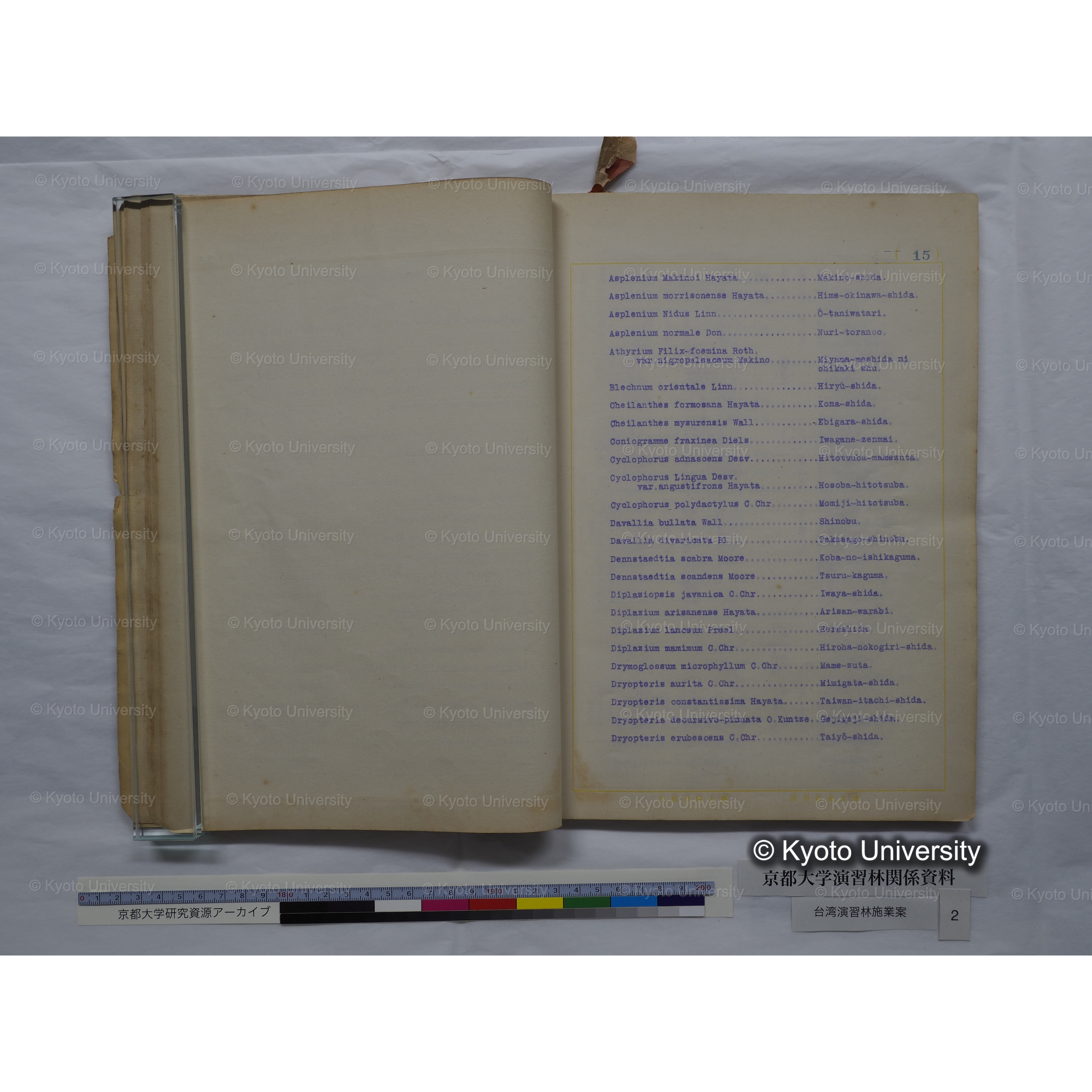 台湾演習林　施業案　実行期間＜自昭和 6年／至昭和12年＞　昭和六年四月編成. (114)