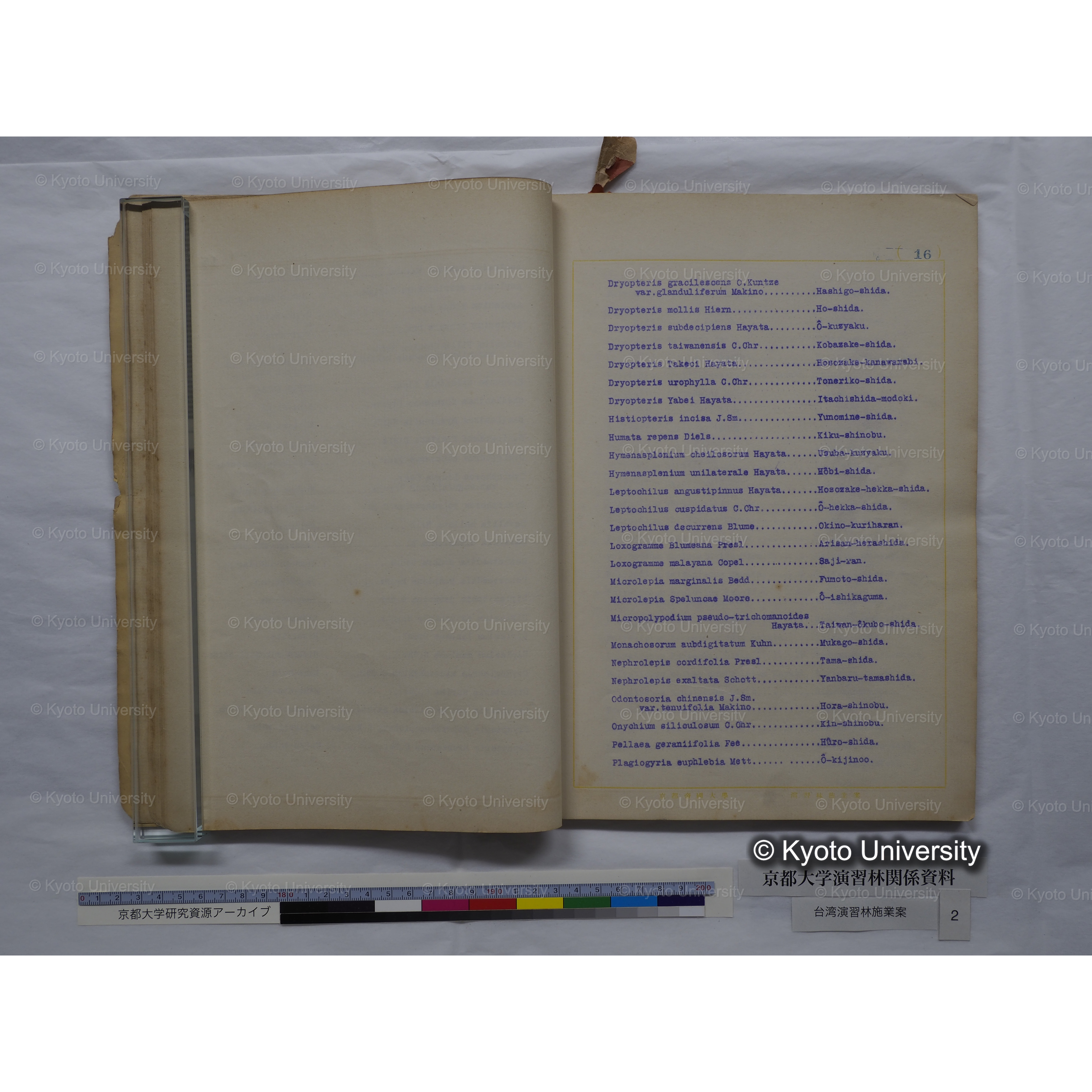 台湾演習林　施業案　実行期間＜自昭和 6年／至昭和12年＞　昭和六年四月編成. (115)