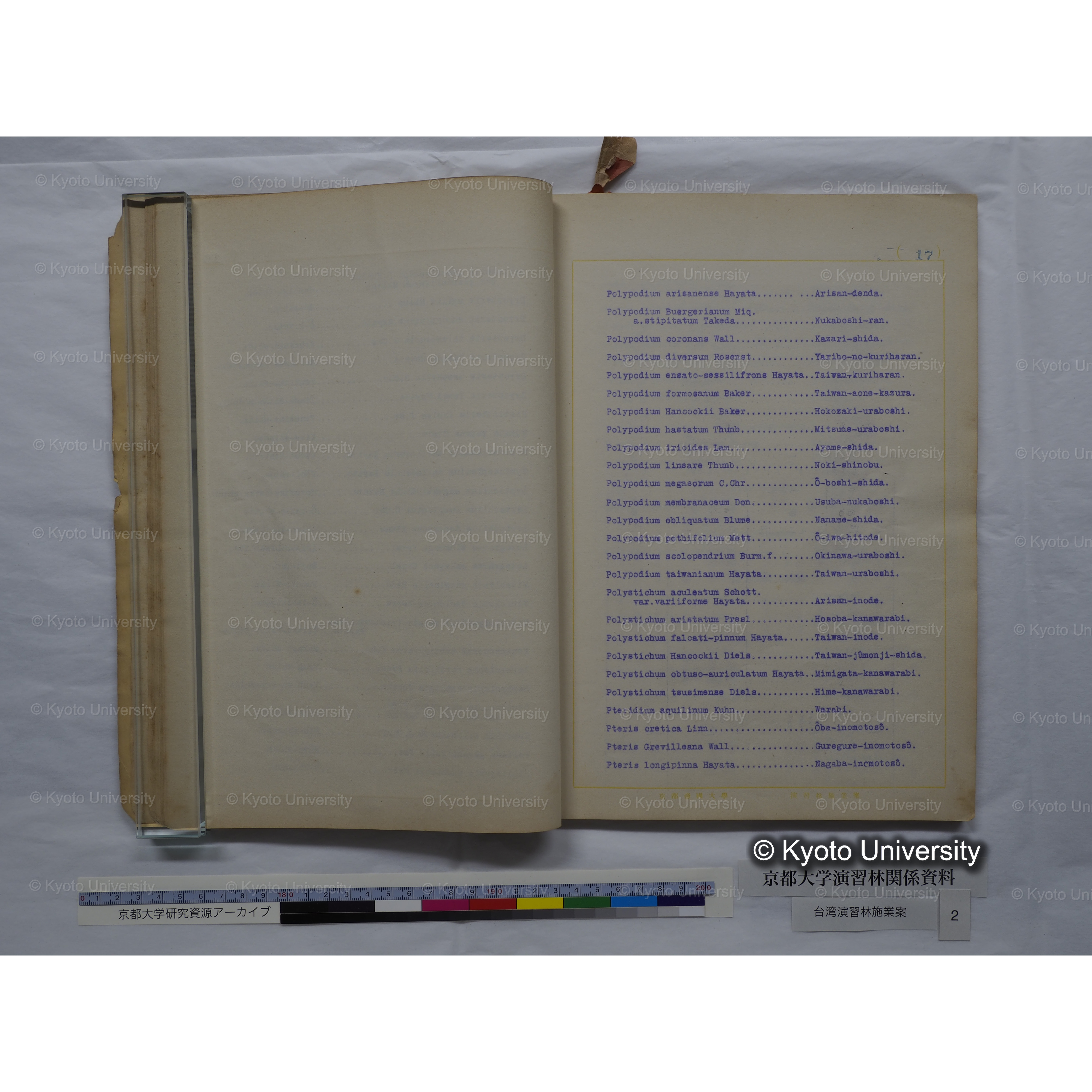 台湾演習林　施業案　実行期間＜自昭和 6年／至昭和12年＞　昭和六年四月編成. (116)