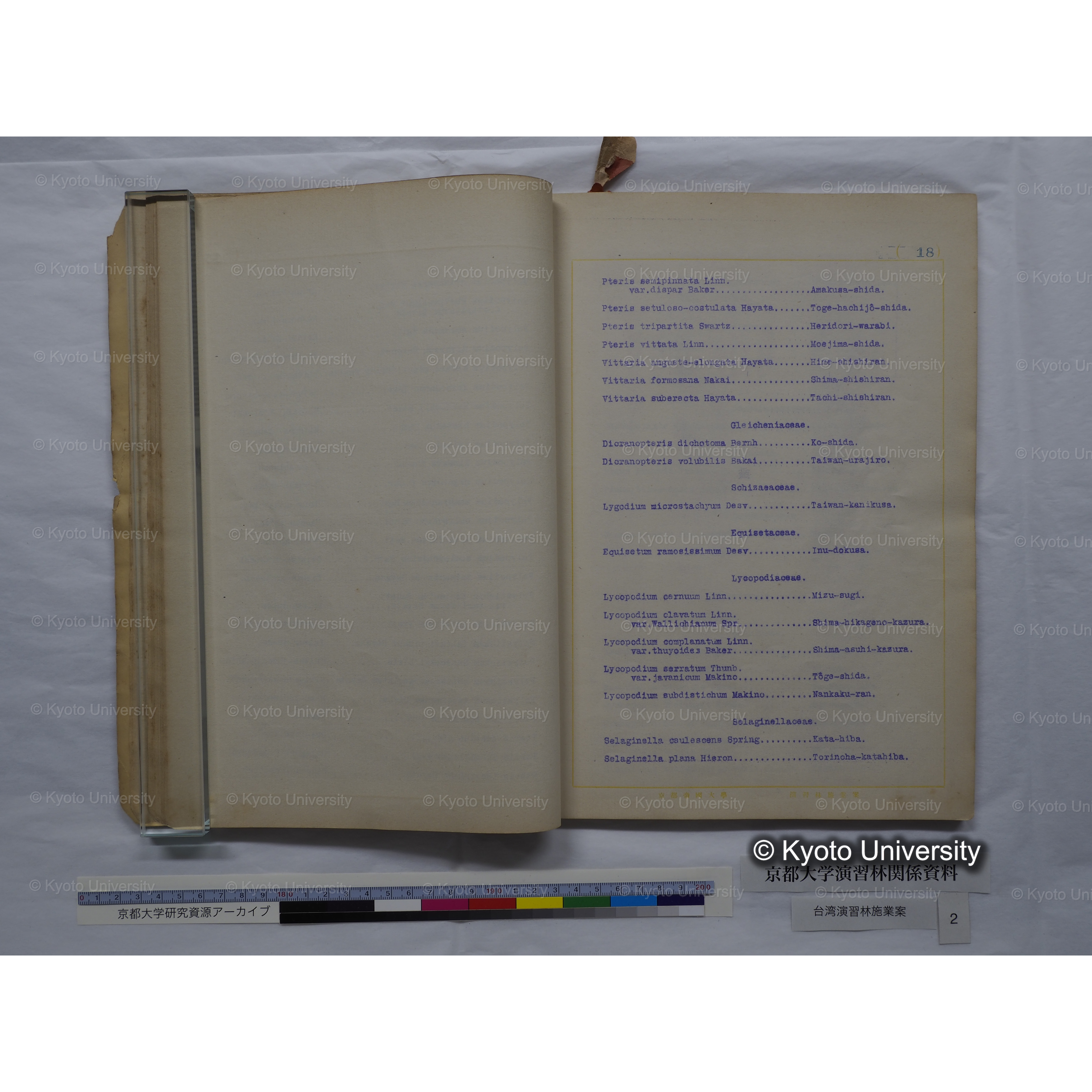 台湾演習林　施業案　実行期間＜自昭和 6年／至昭和12年＞　昭和六年四月編成. (117)