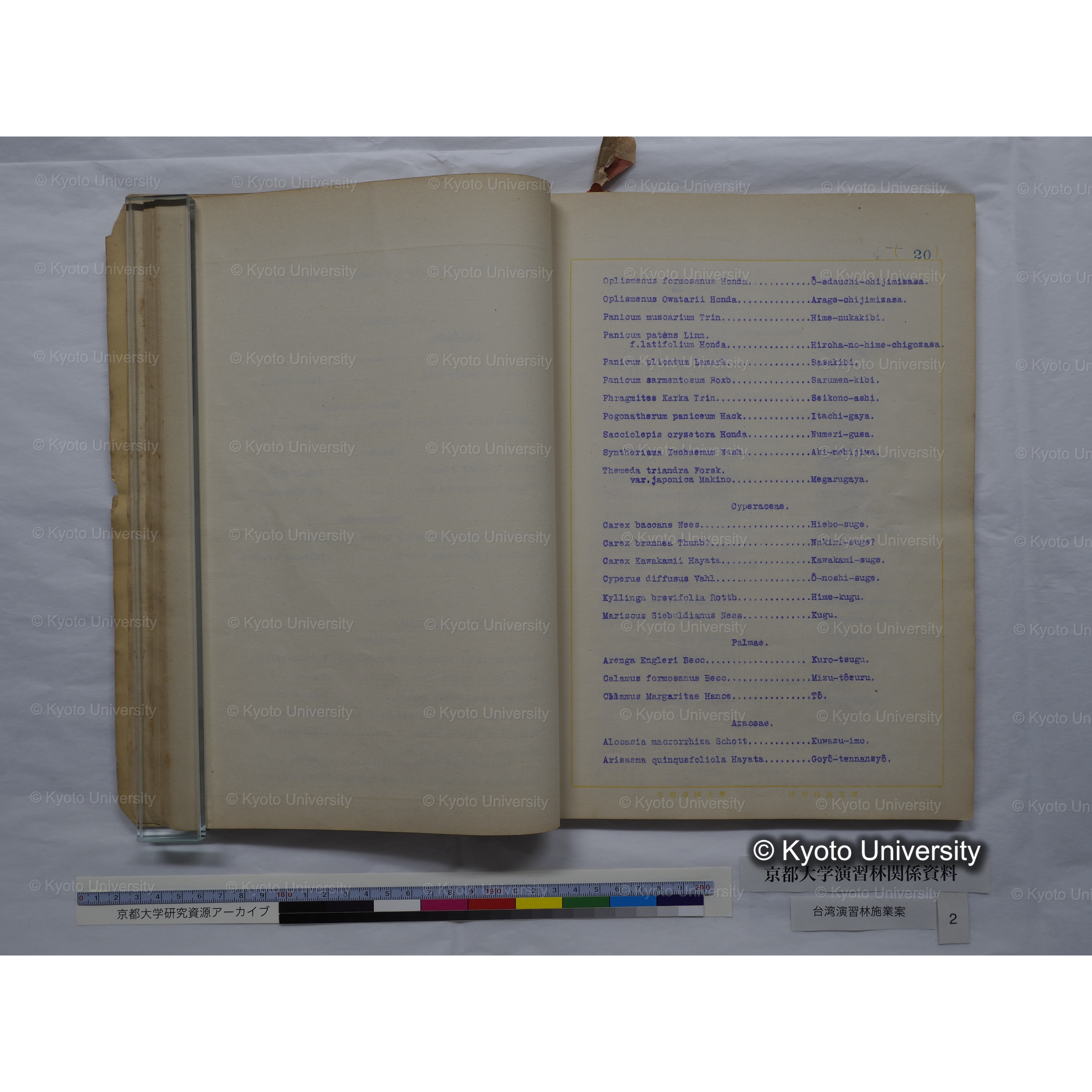 台湾演習林　施業案　実行期間＜自昭和 6年／至昭和12年＞　昭和六年四月編成. (119)