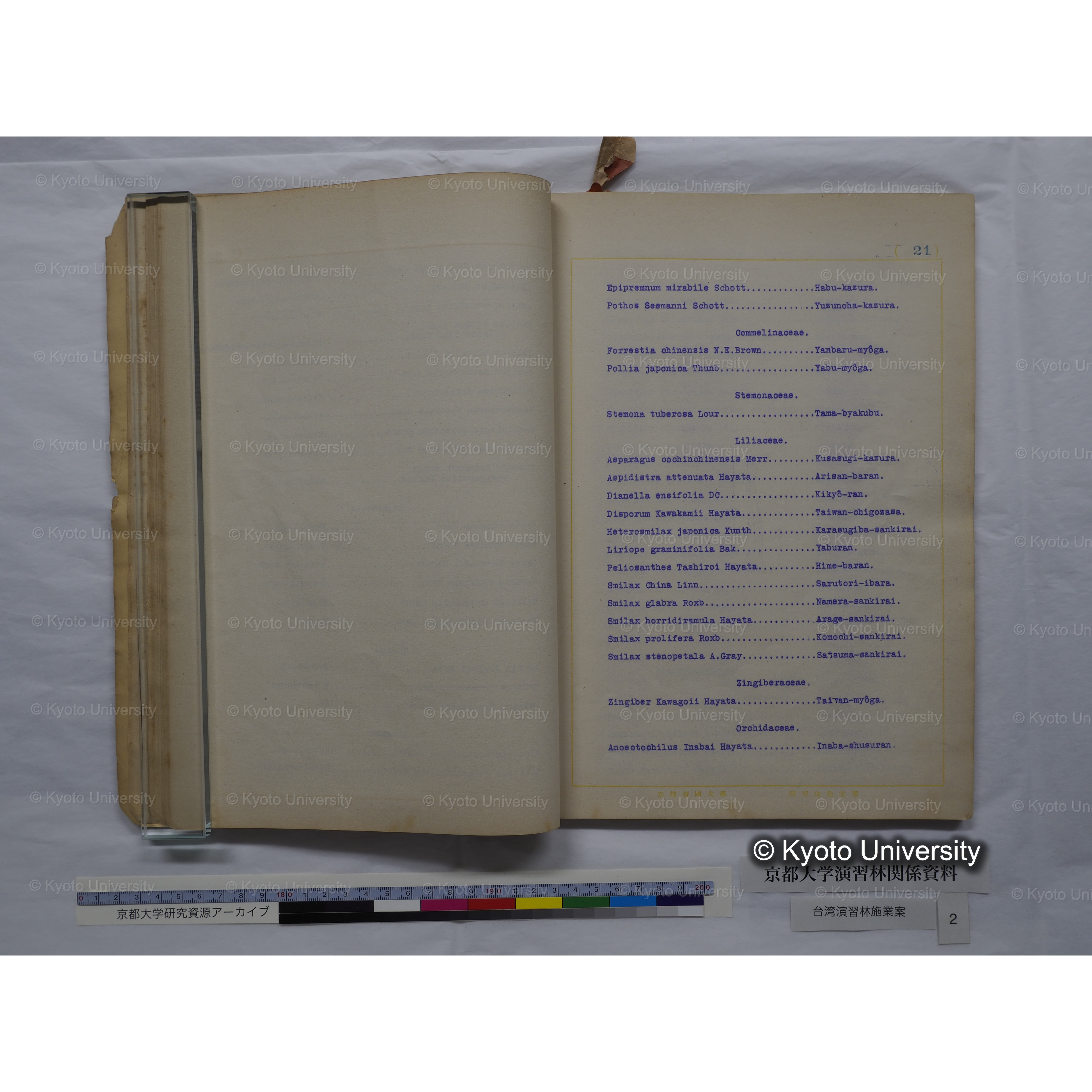 台湾演習林　施業案　実行期間＜自昭和 6年／至昭和12年＞　昭和六年四月編成. (120)