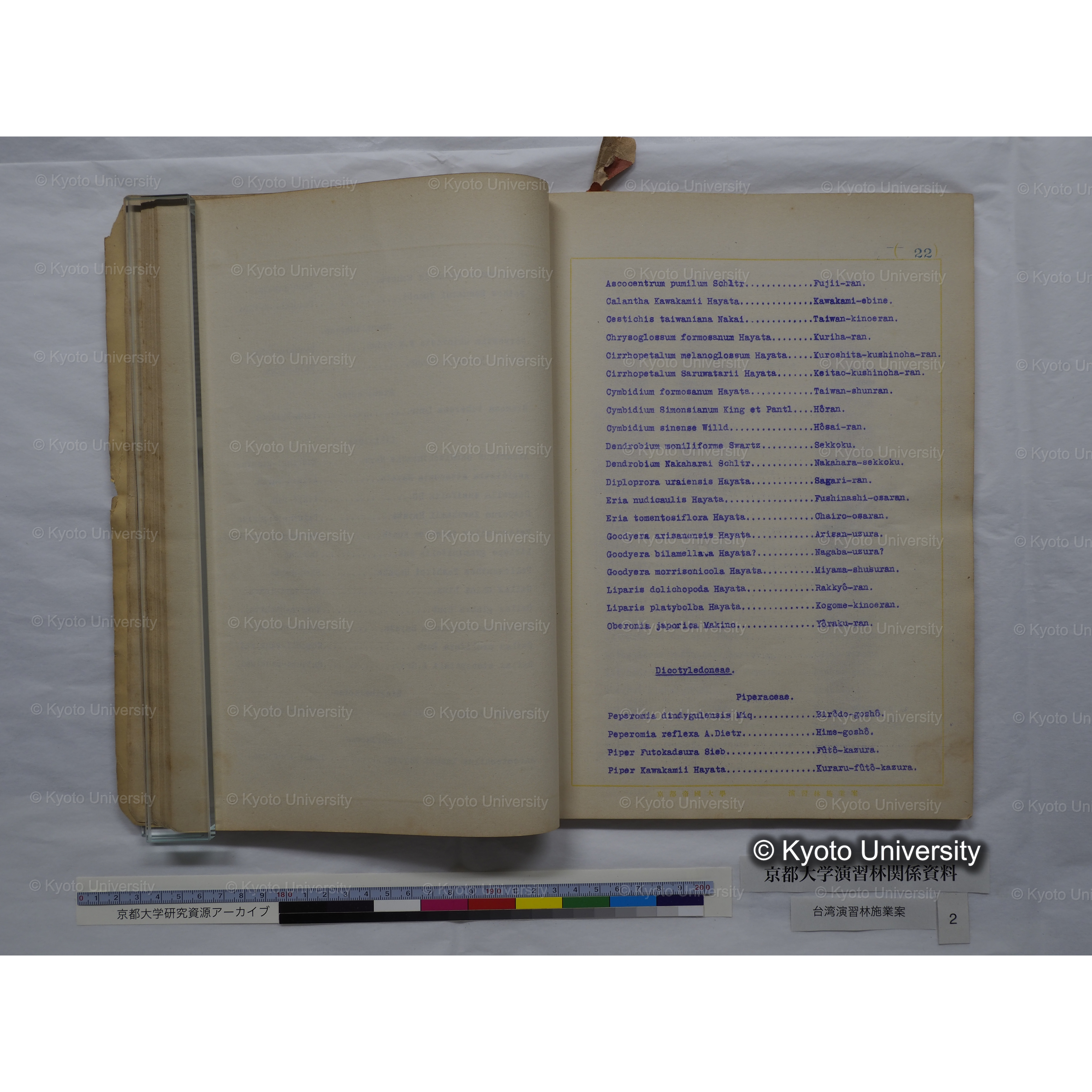 台湾演習林　施業案　実行期間＜自昭和 6年／至昭和12年＞　昭和六年四月編成. (121)