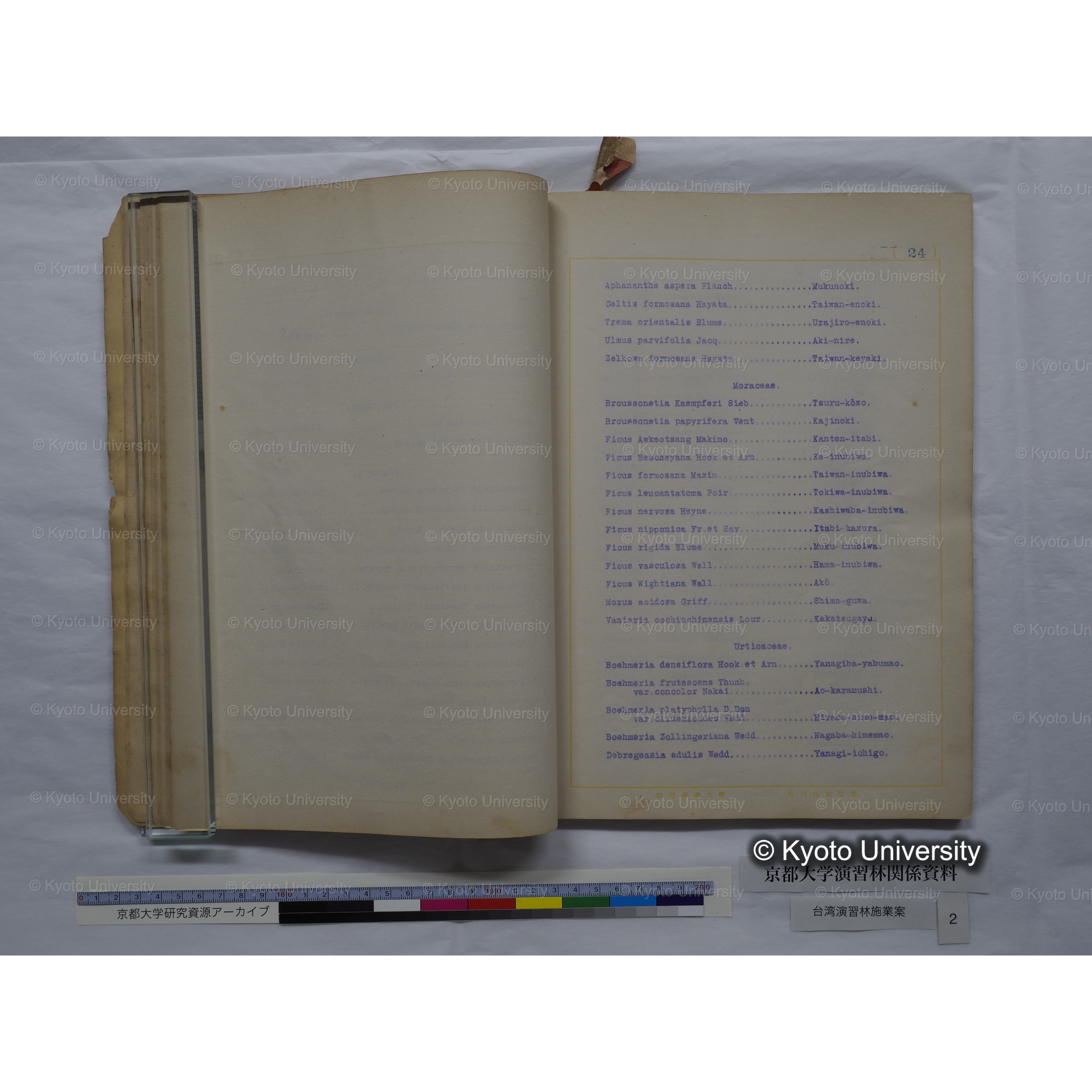 台湾演習林　施業案　実行期間＜自昭和 6年／至昭和12年＞　昭和六年四月編成. (123)