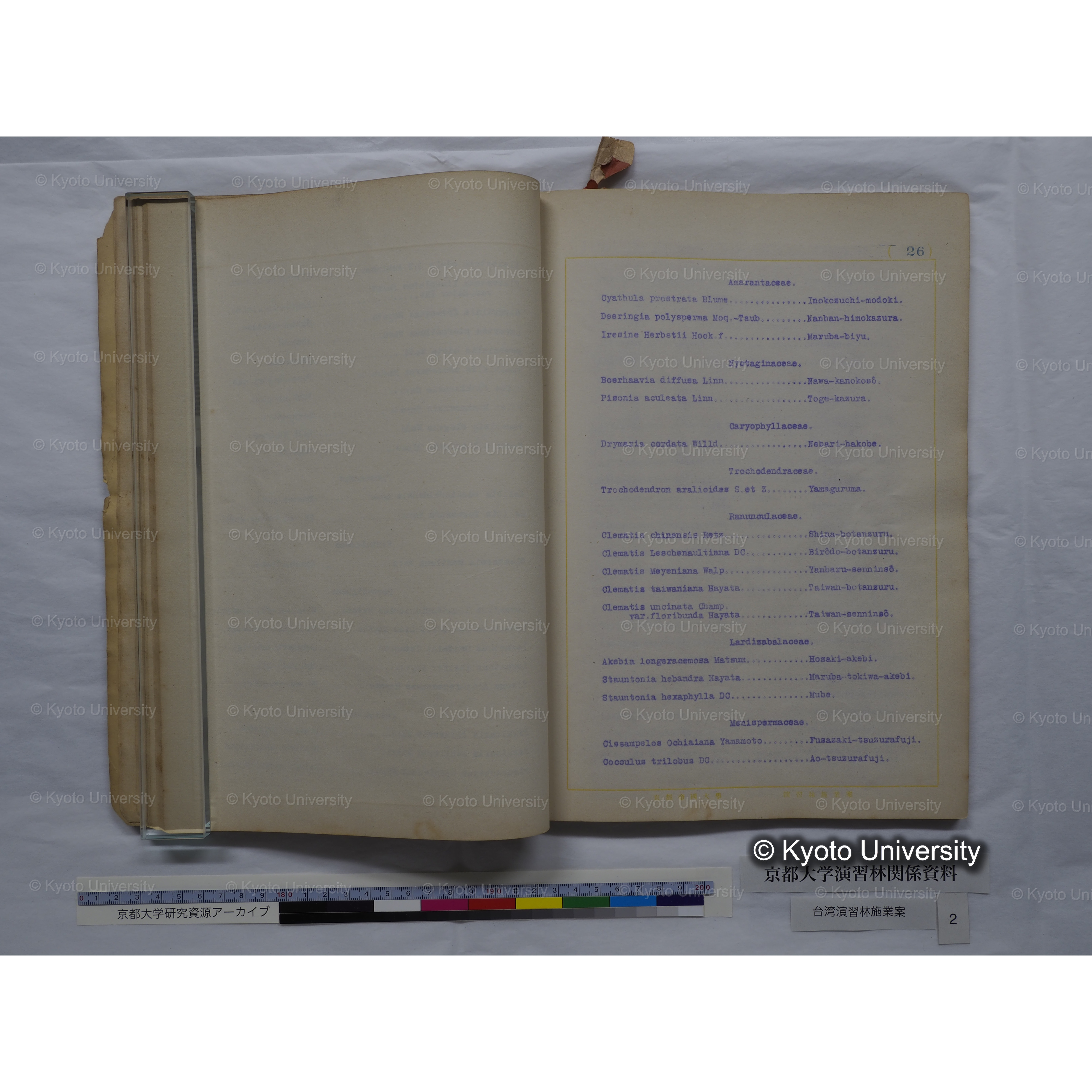 台湾演習林　施業案　実行期間＜自昭和 6年／至昭和12年＞　昭和六年四月編成. (125)