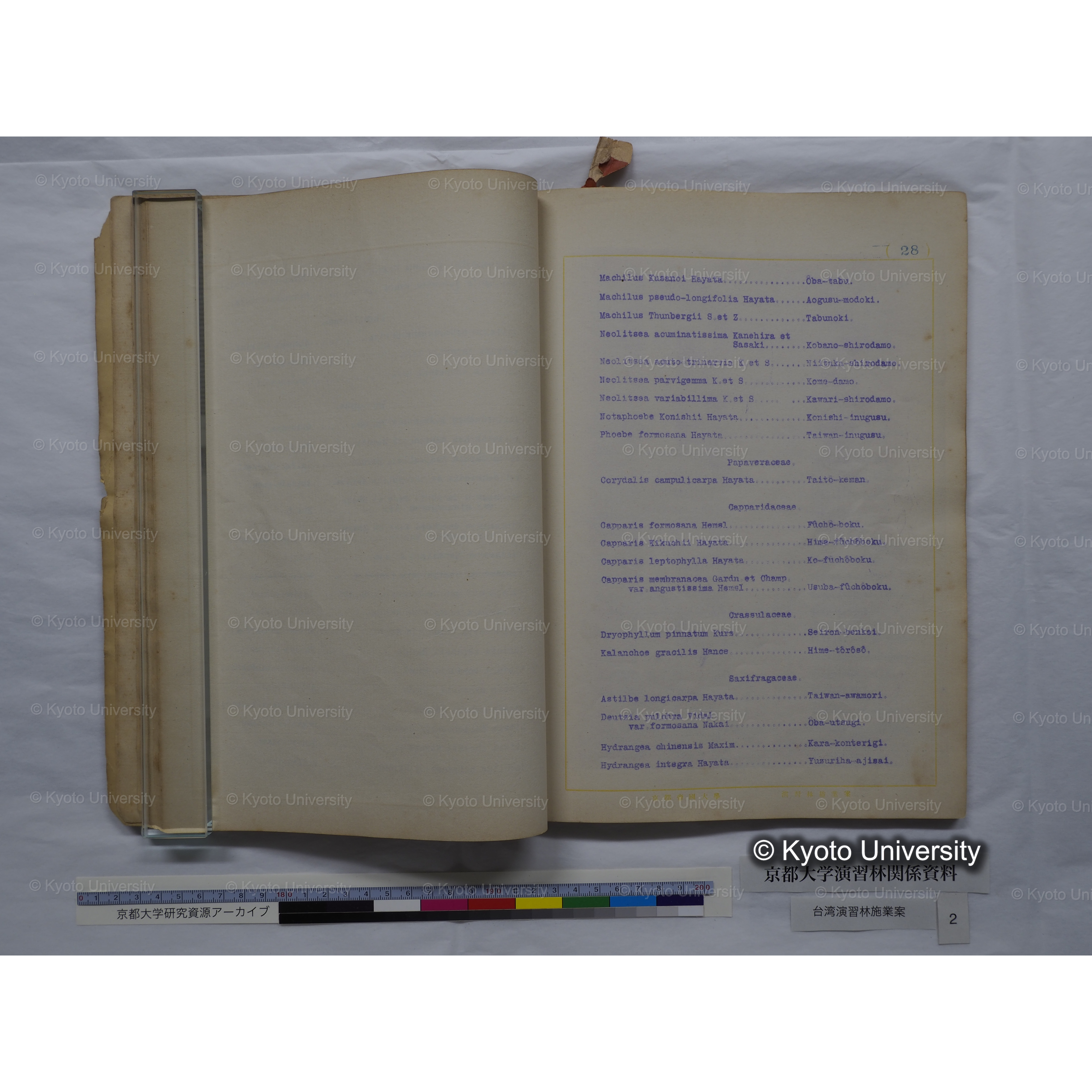 台湾演習林　施業案　実行期間＜自昭和 6年／至昭和12年＞　昭和六年四月編成. (127)