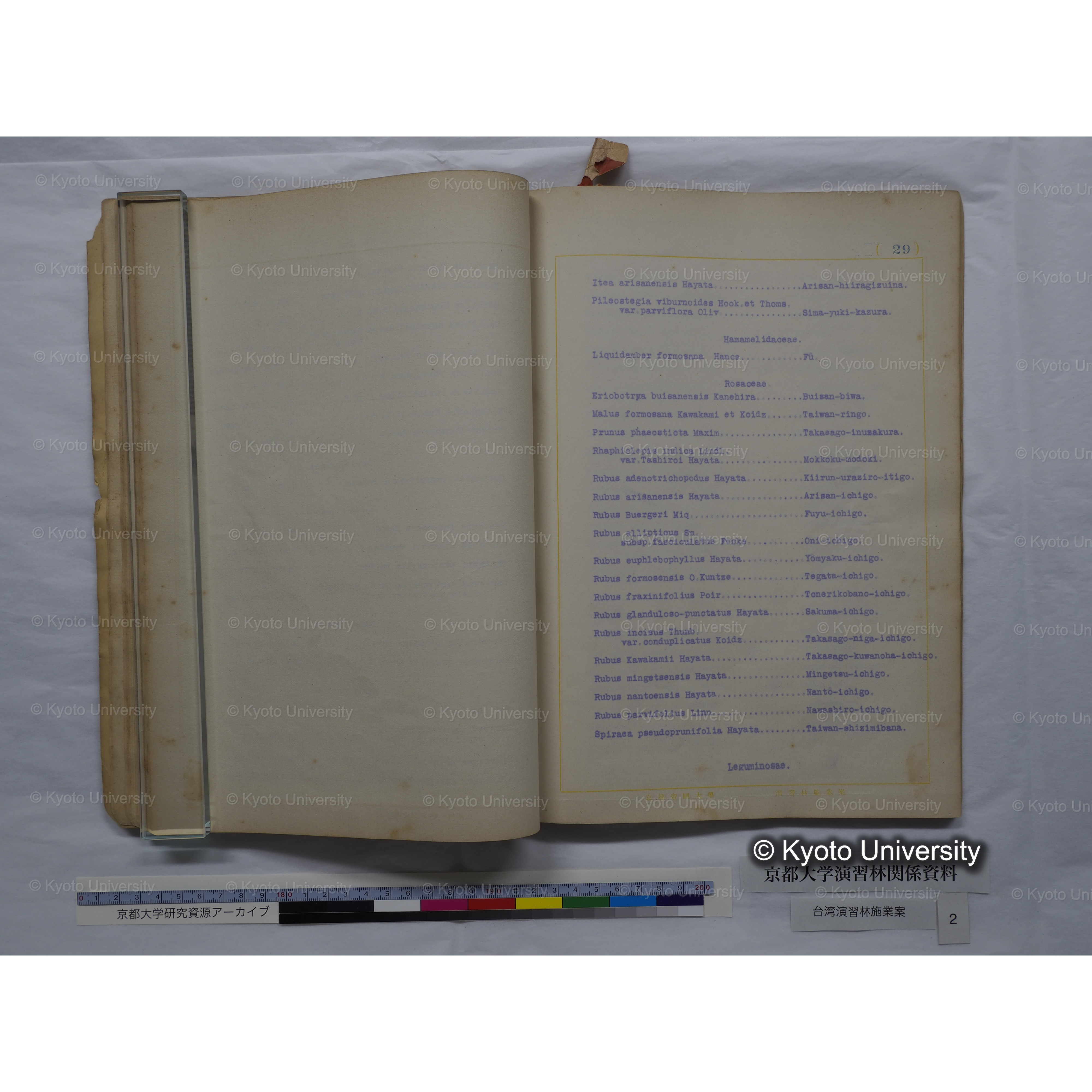 台湾演習林　施業案　実行期間＜自昭和 6年／至昭和12年＞　昭和六年四月編成. (128)